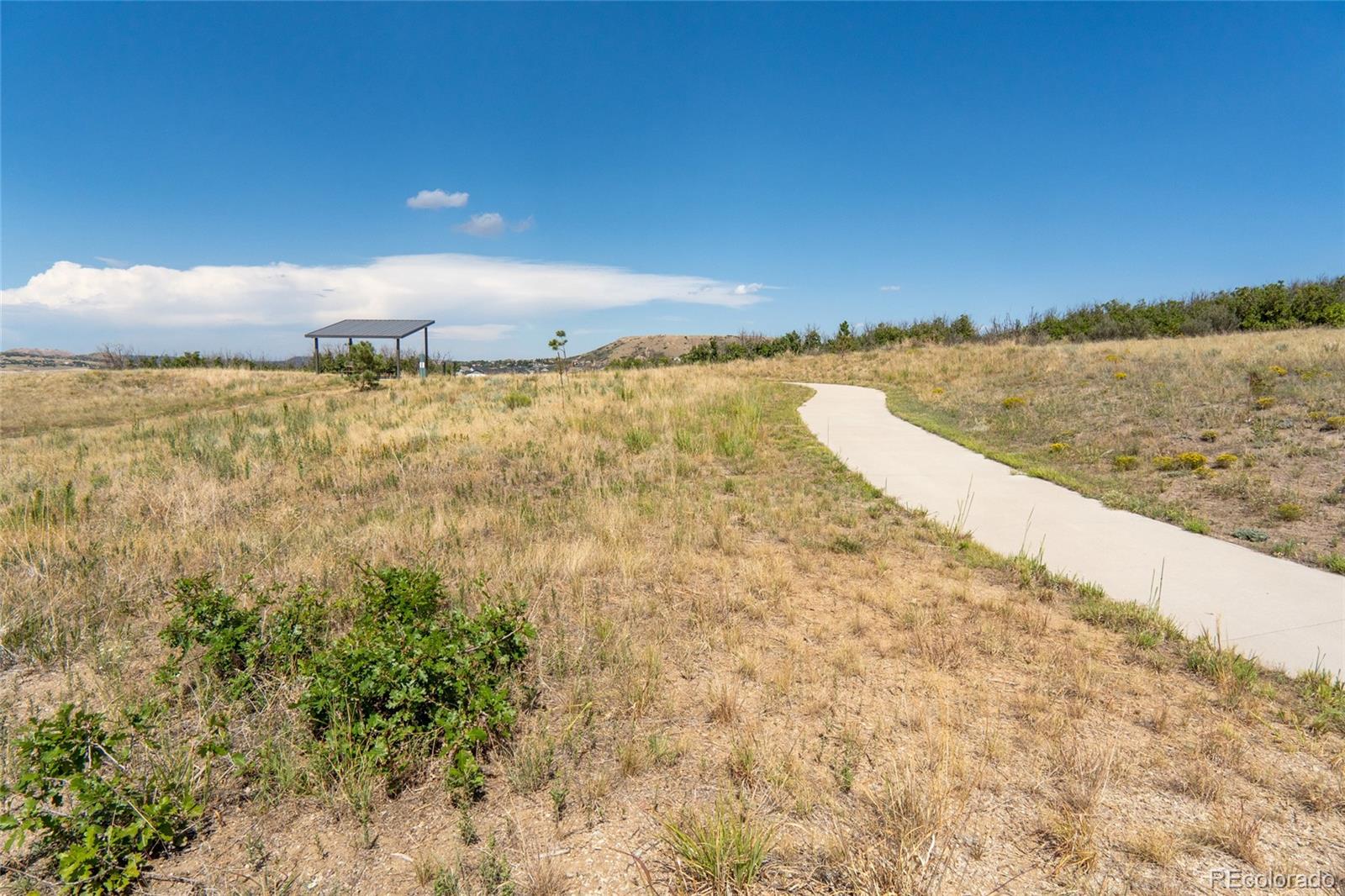 MLS Image #38 for 140  leafy aster lane,castle rock, Colorado