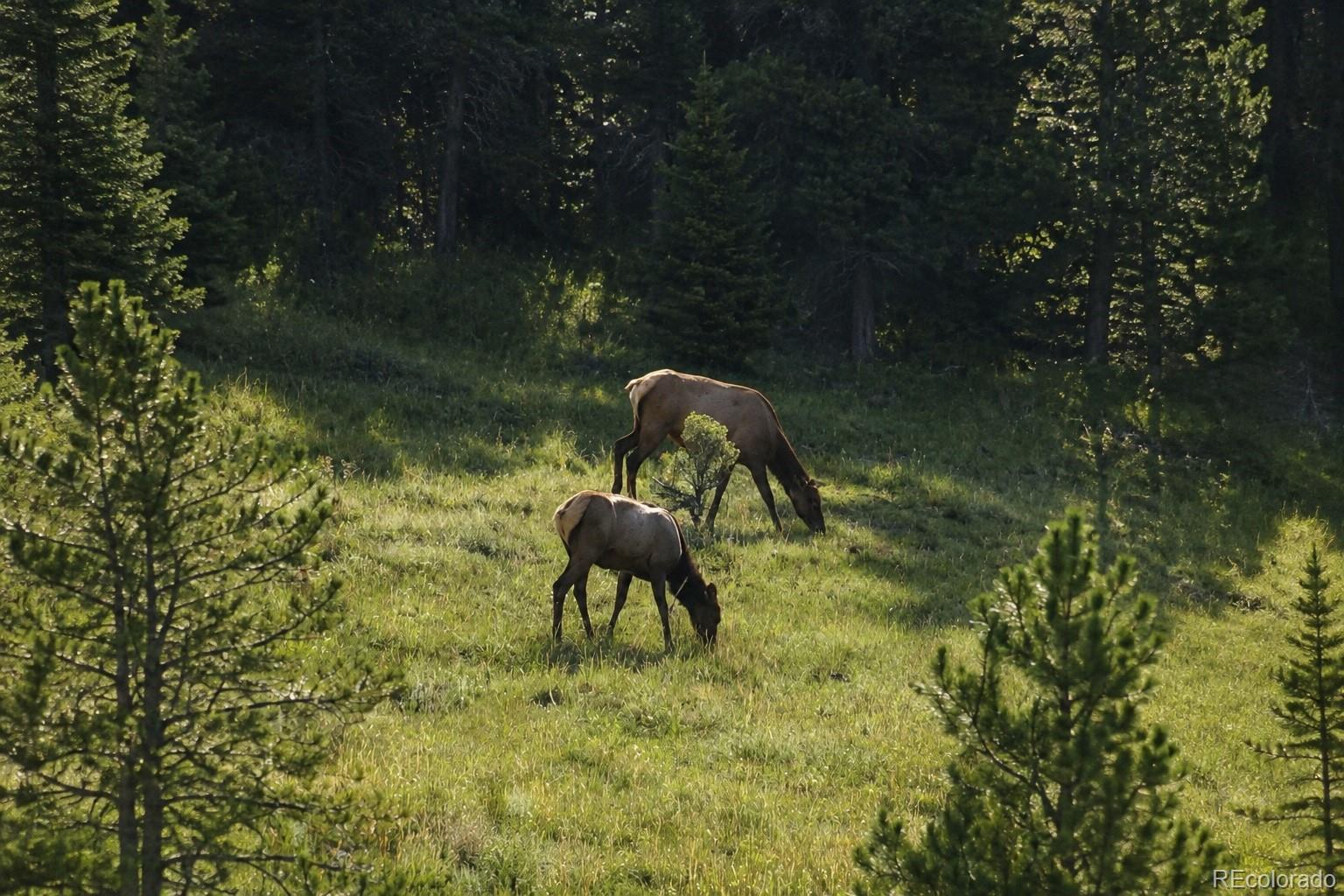 MLS Image #28 for 2323  cr 323 ,westcliffe, Colorado