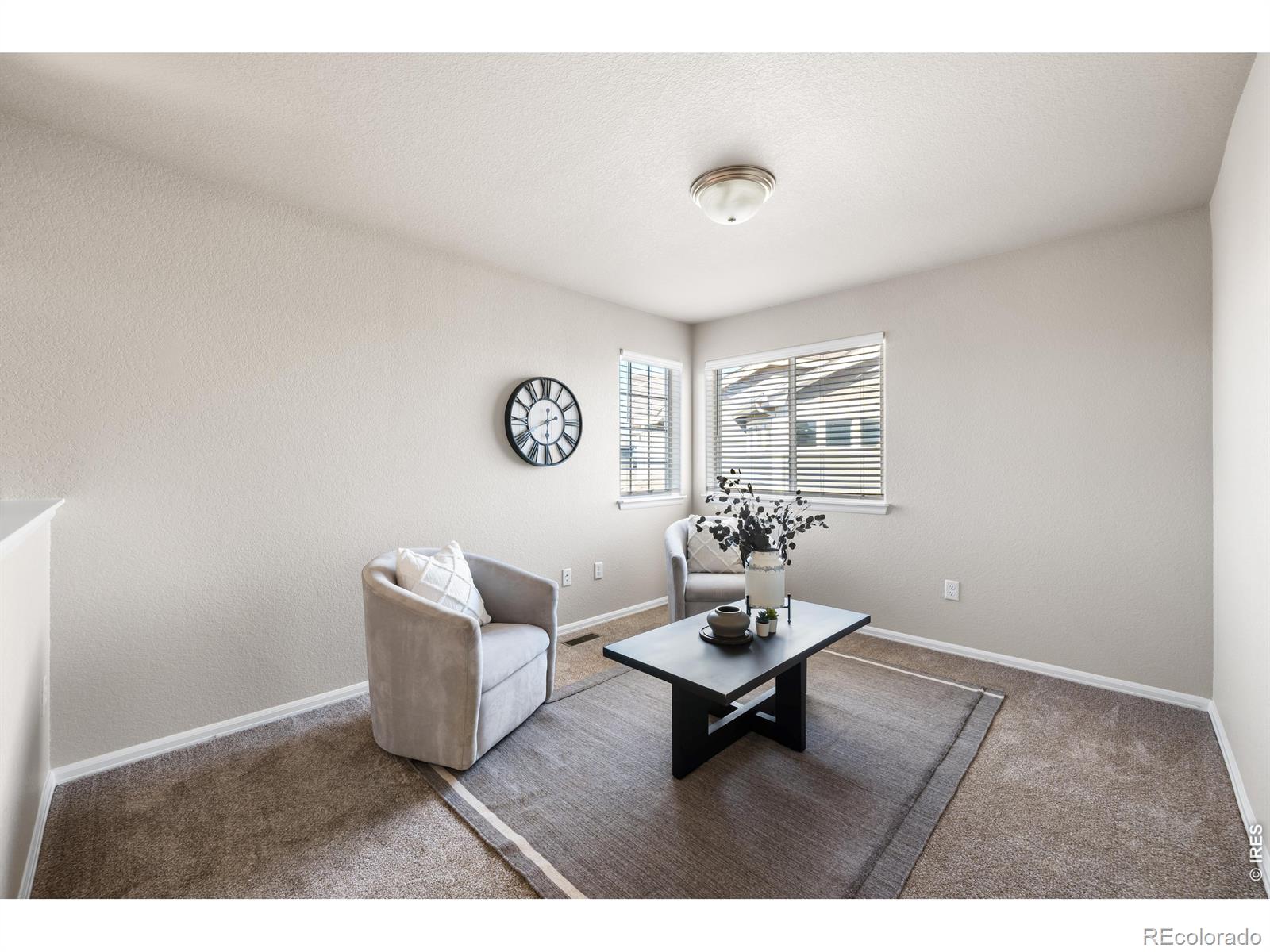 MLS Image #23 for 1838  rise drive,windsor, Colorado