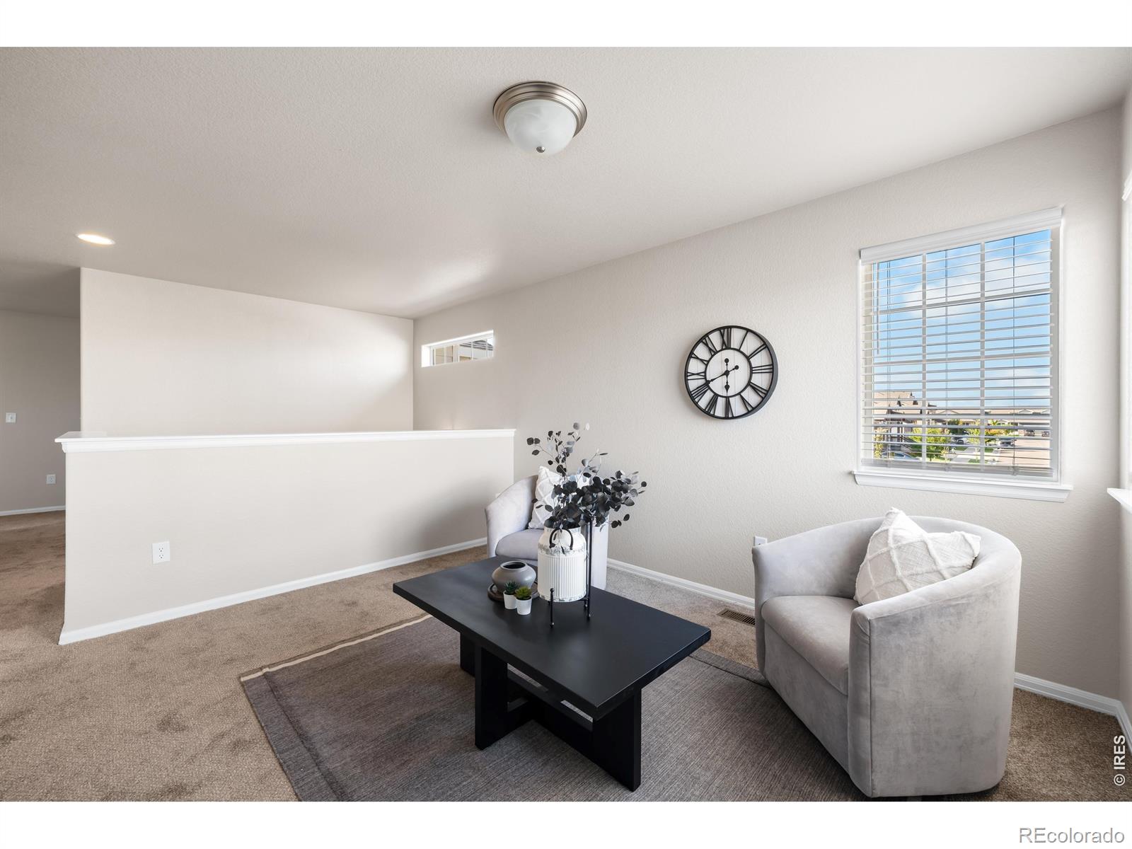 MLS Image #24 for 1838  rise drive,windsor, Colorado