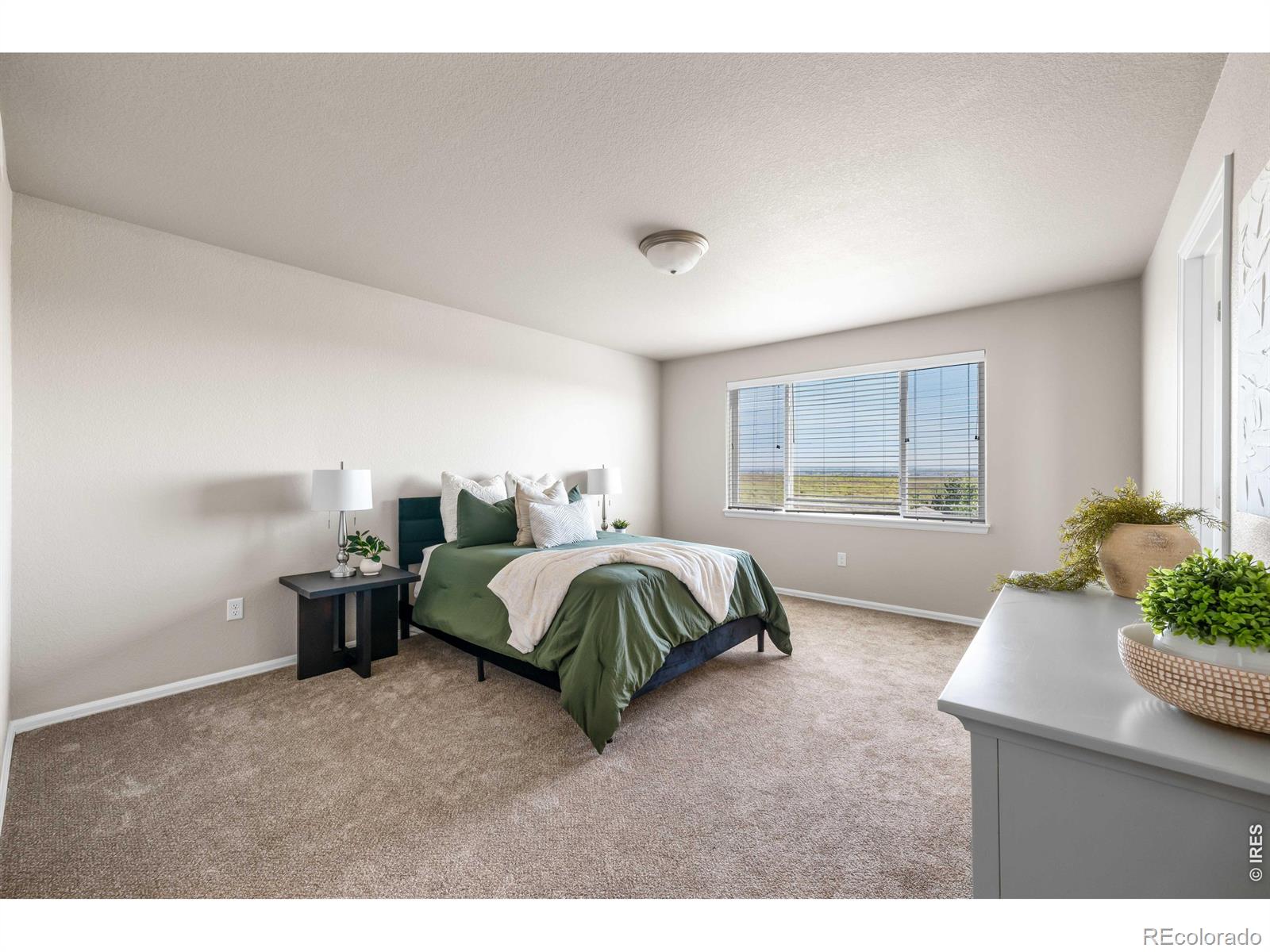 MLS Image #25 for 1838  rise drive,windsor, Colorado
