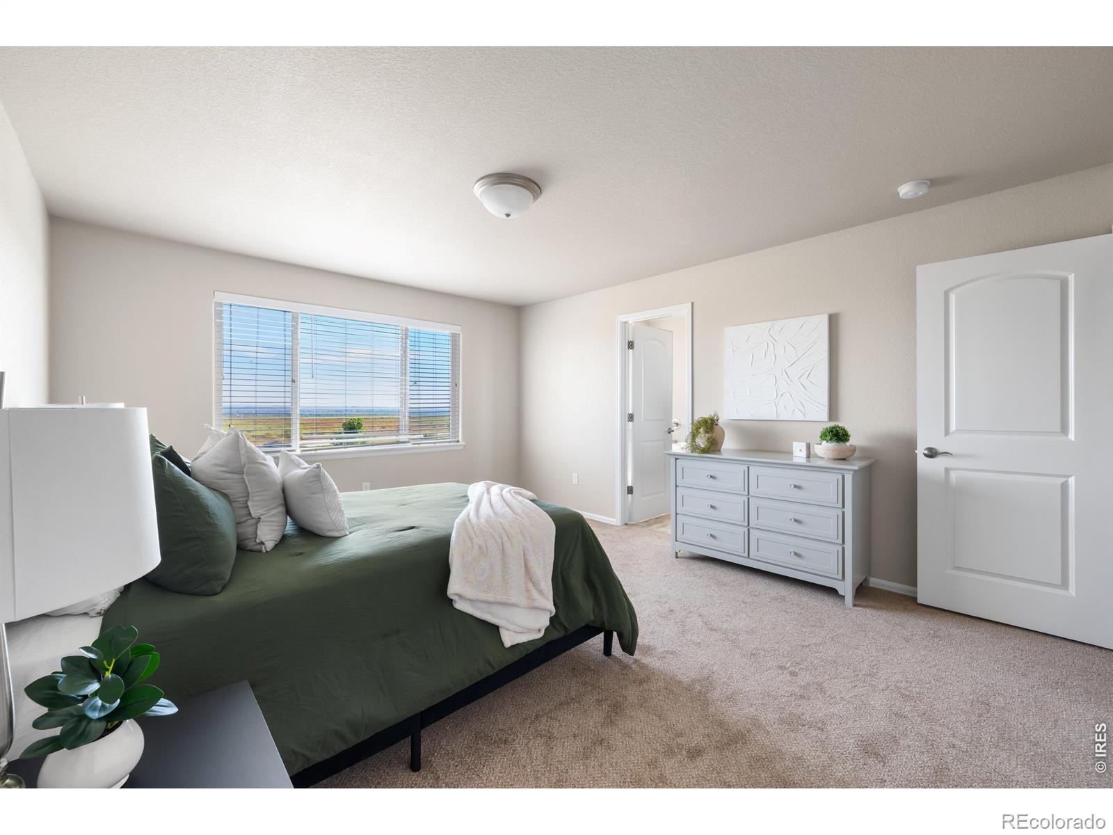 MLS Image #34 for 1838  rise drive,windsor, Colorado