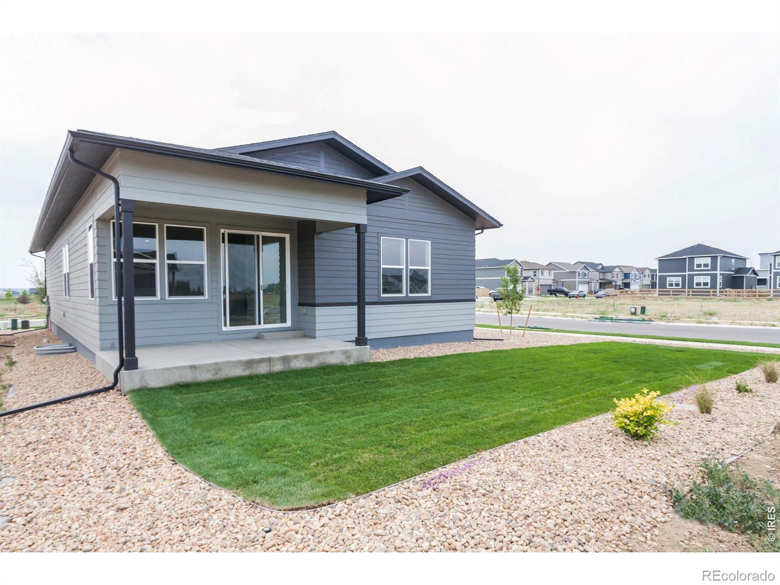 MLS Image #4 for 774  trumpet court,windsor, Colorado