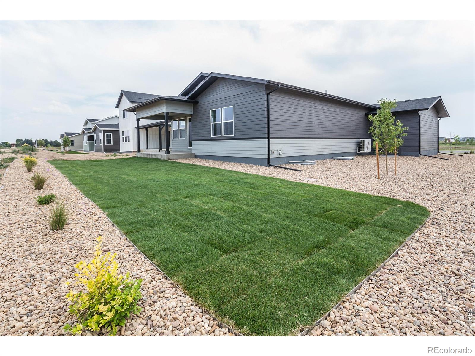 MLS Image #43 for 774  trumpet court,windsor, Colorado