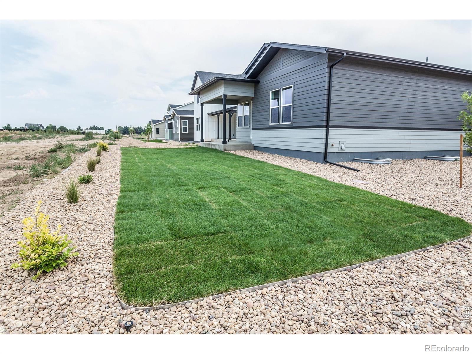 MLS Image #46 for 774  trumpet court,windsor, Colorado