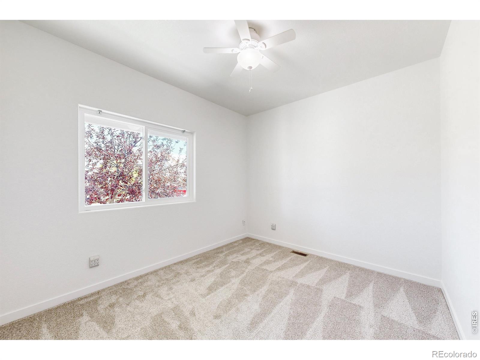 MLS Image #14 for 2836  hydra drive,loveland, Colorado