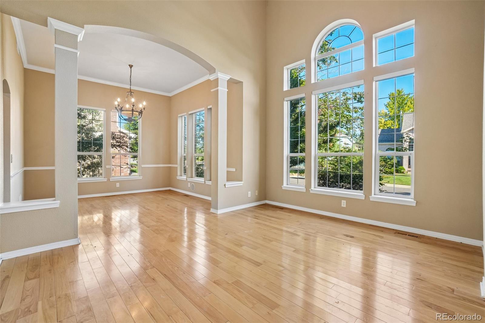 MLS Image #3 for 465  whitetail circle,lafayette, Colorado
