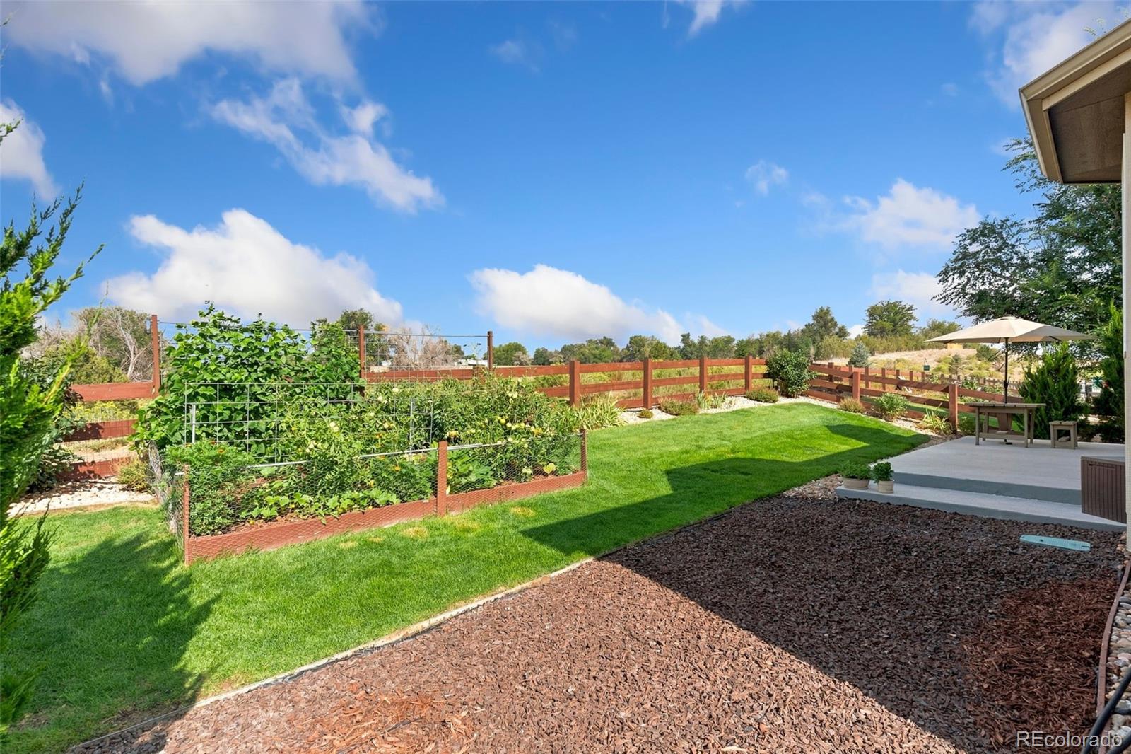 MLS Image #29 for 2124  longfin court,windsor, Colorado