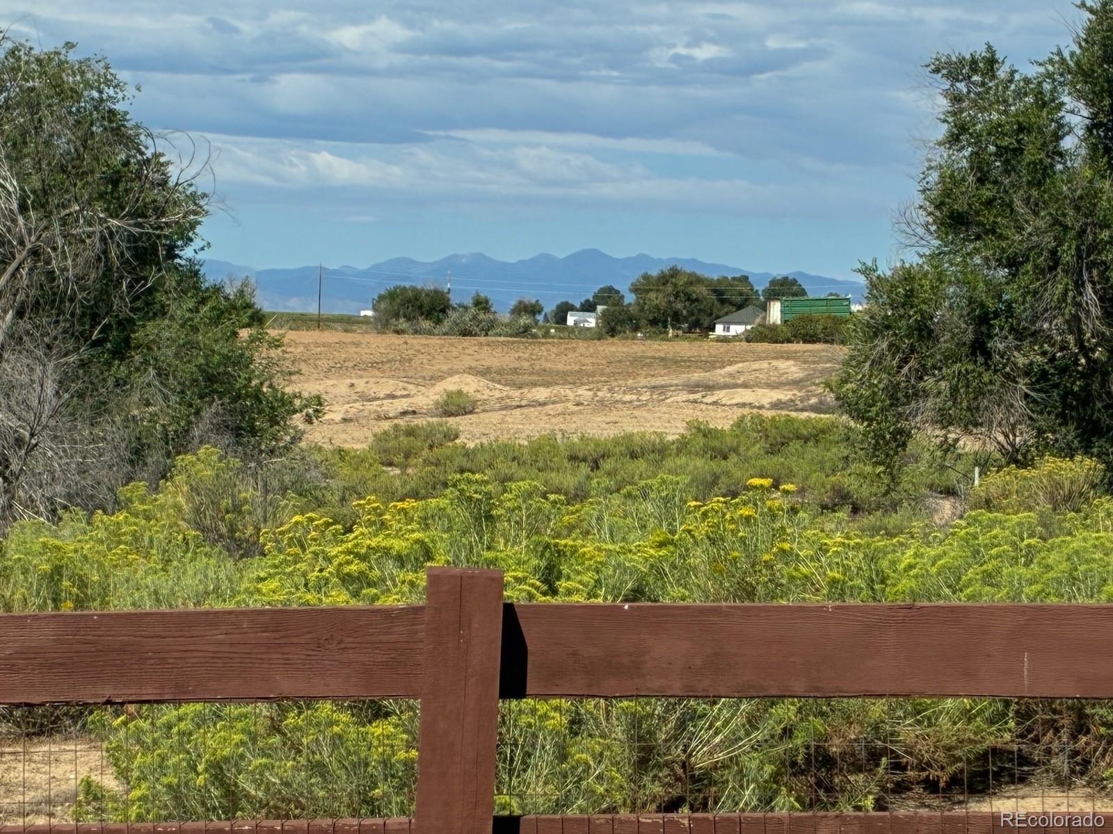 MLS Image #33 for 2124  longfin court,windsor, Colorado