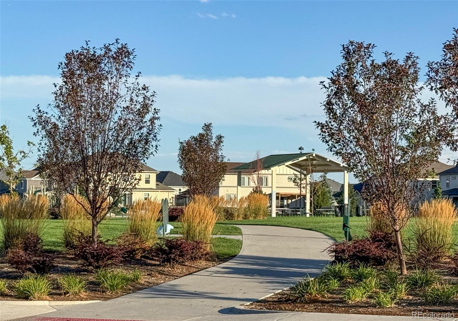 MLS Image #14 for 13489  valentia place,brighton, Colorado
