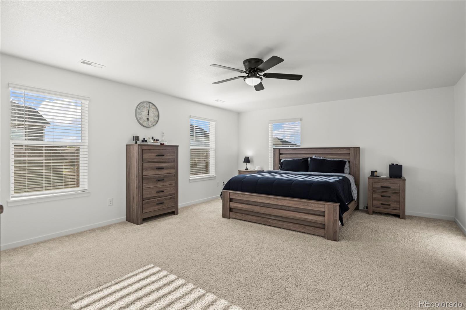MLS Image #4 for 13489  valentia place,brighton, Colorado
