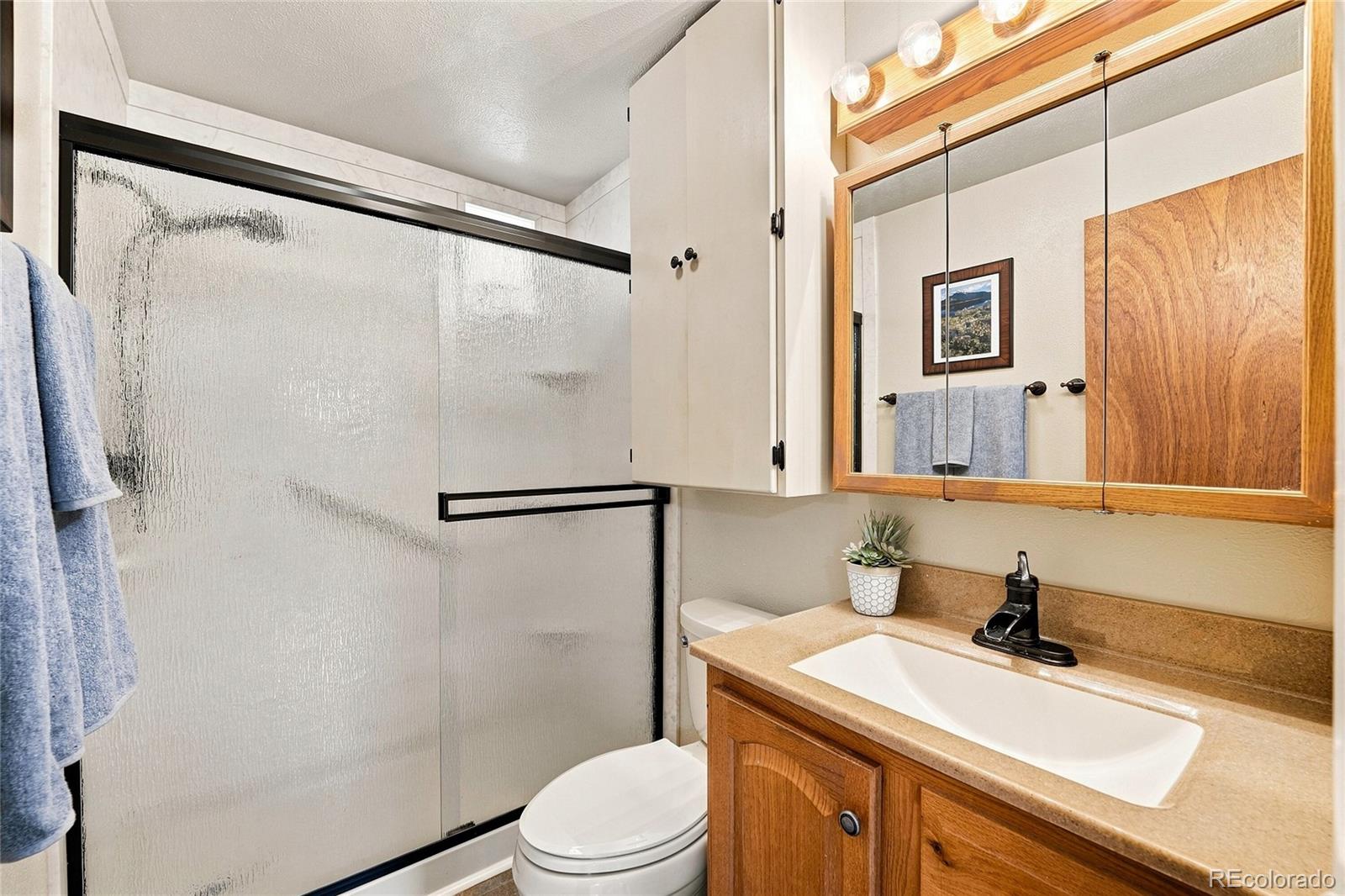 MLS Image #16 for 7290 s penrose court,centennial, Colorado