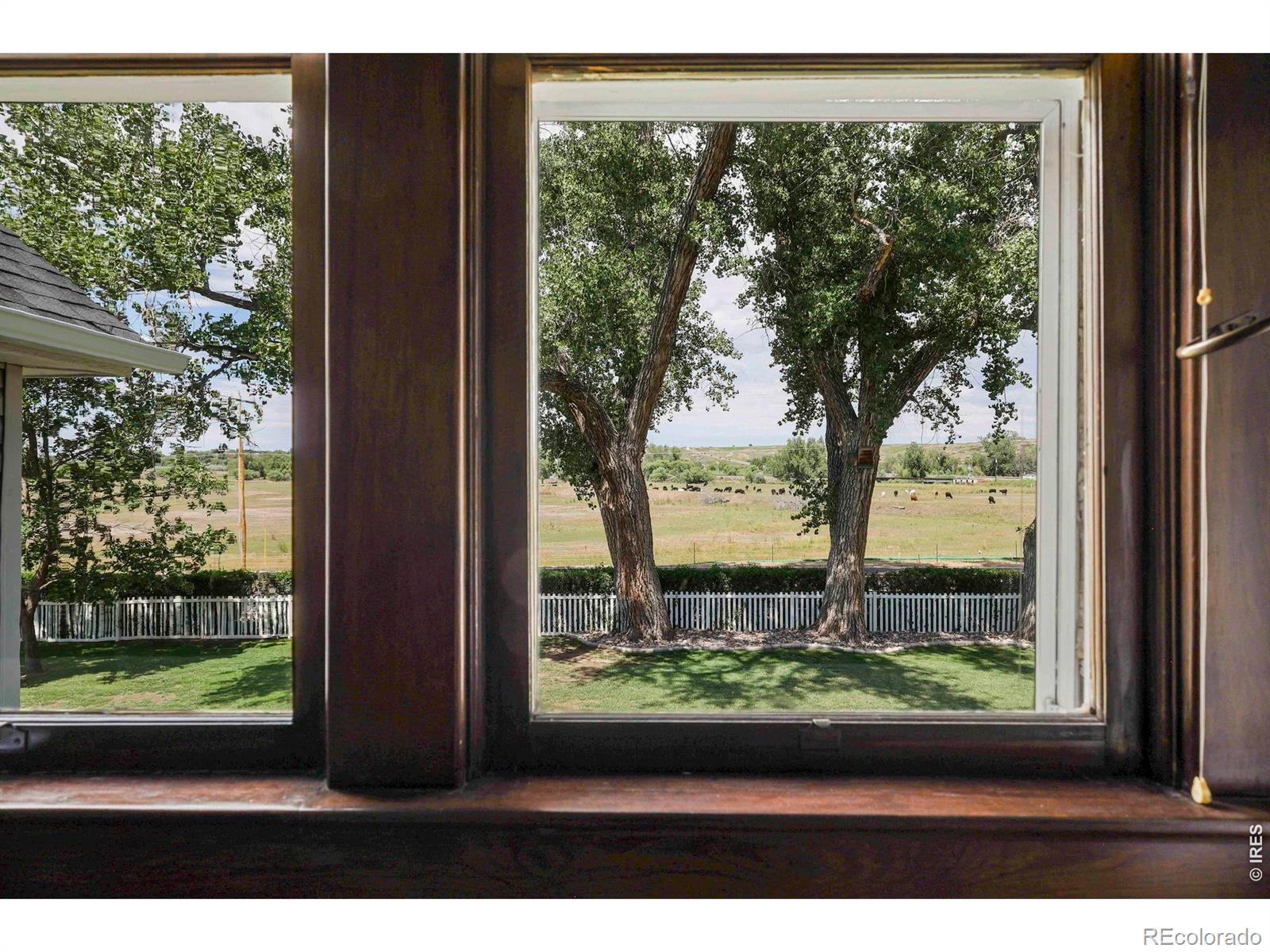 MLS Image #19 for 9916  county road 48 1/2 ,milliken, Colorado