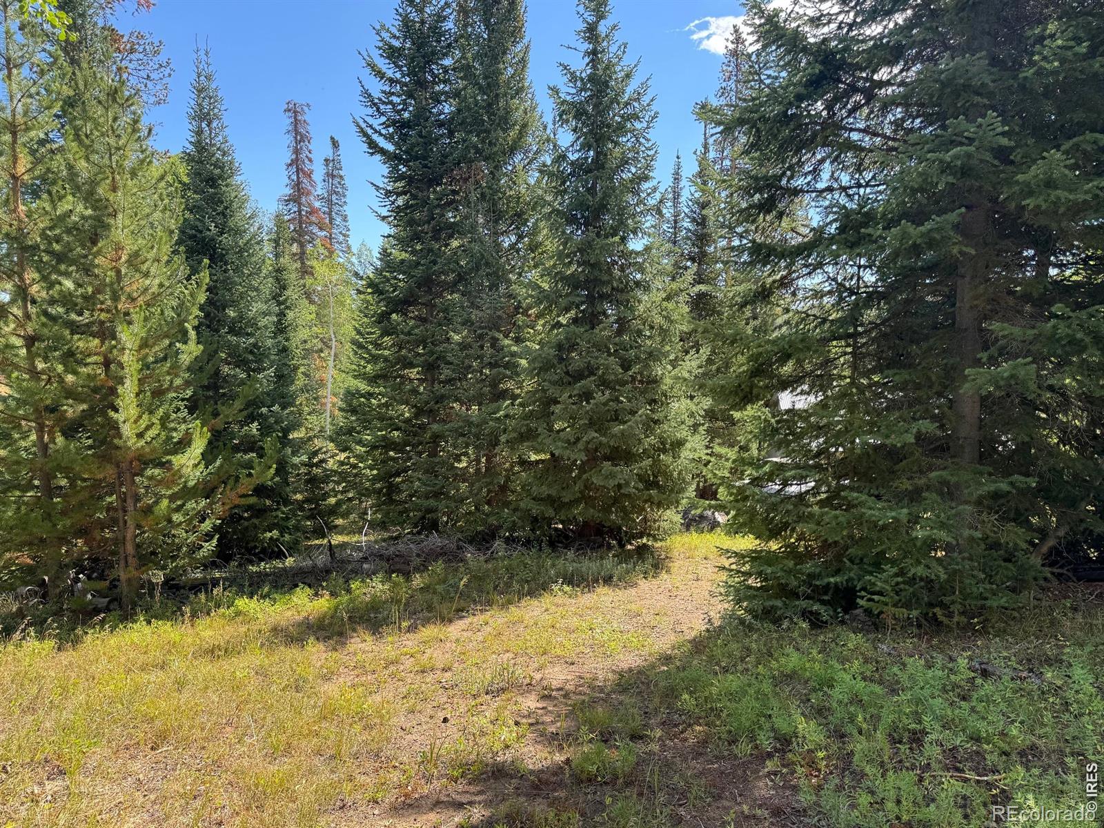 MLS Image #12 for 67  alpine lane,walden, Colorado