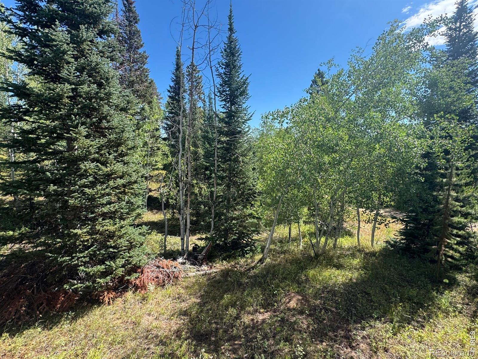 MLS Image #13 for 67  alpine lane,walden, Colorado
