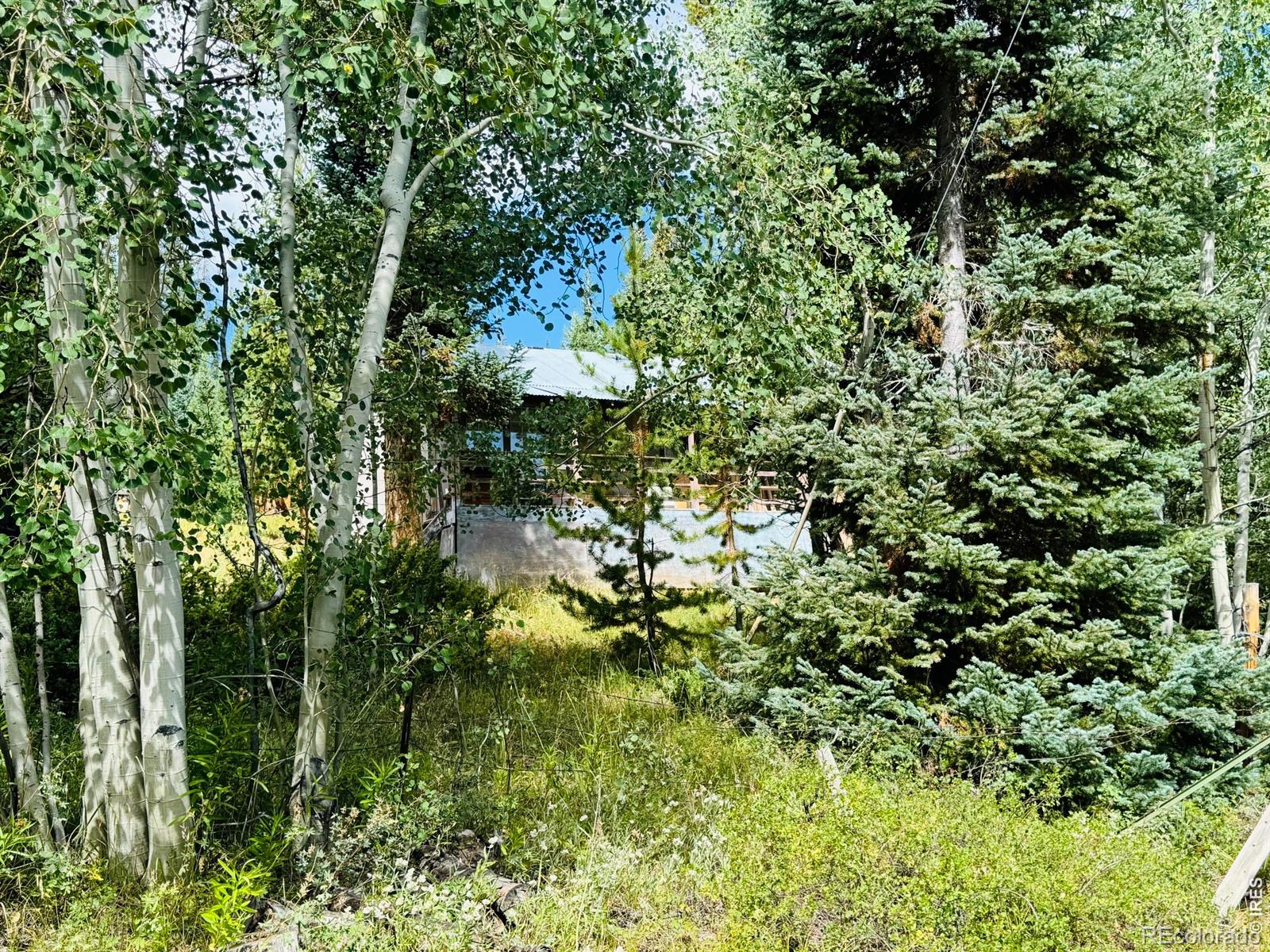 MLS Image #19 for 67  alpine lane,walden, Colorado