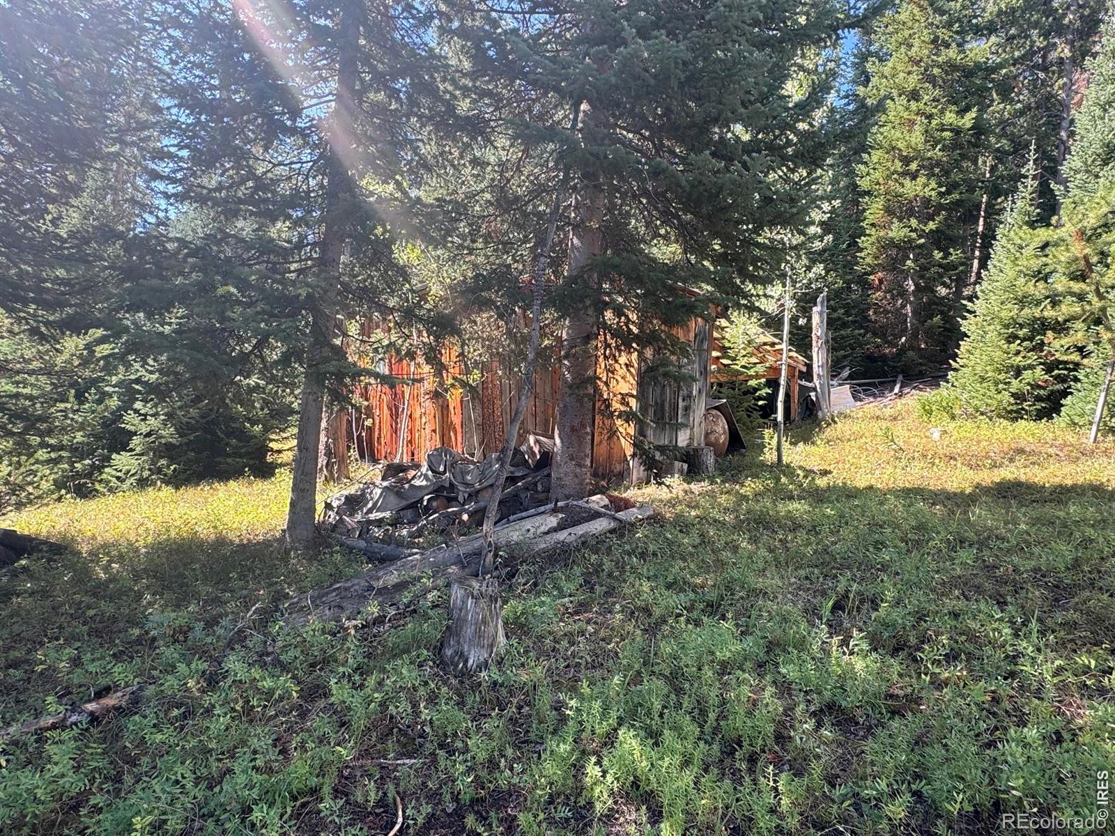 MLS Image #2 for 67  alpine lane,walden, Colorado