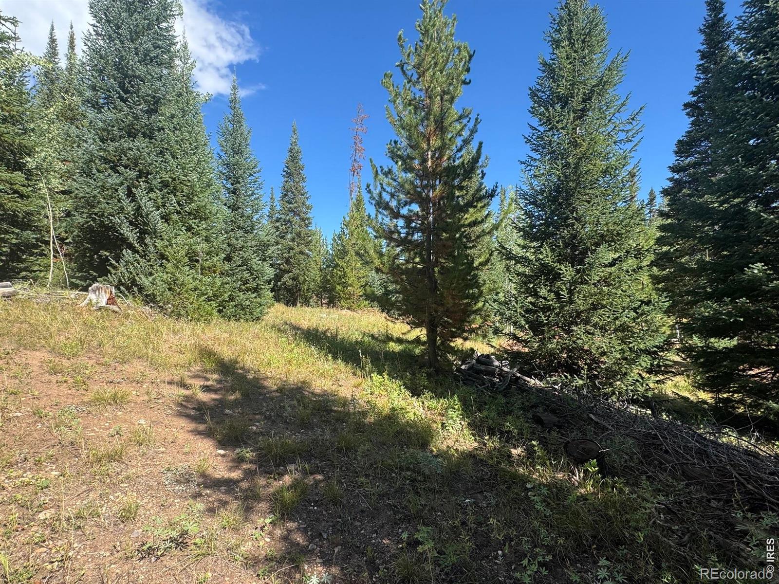 MLS Image #4 for 67  alpine lane,walden, Colorado