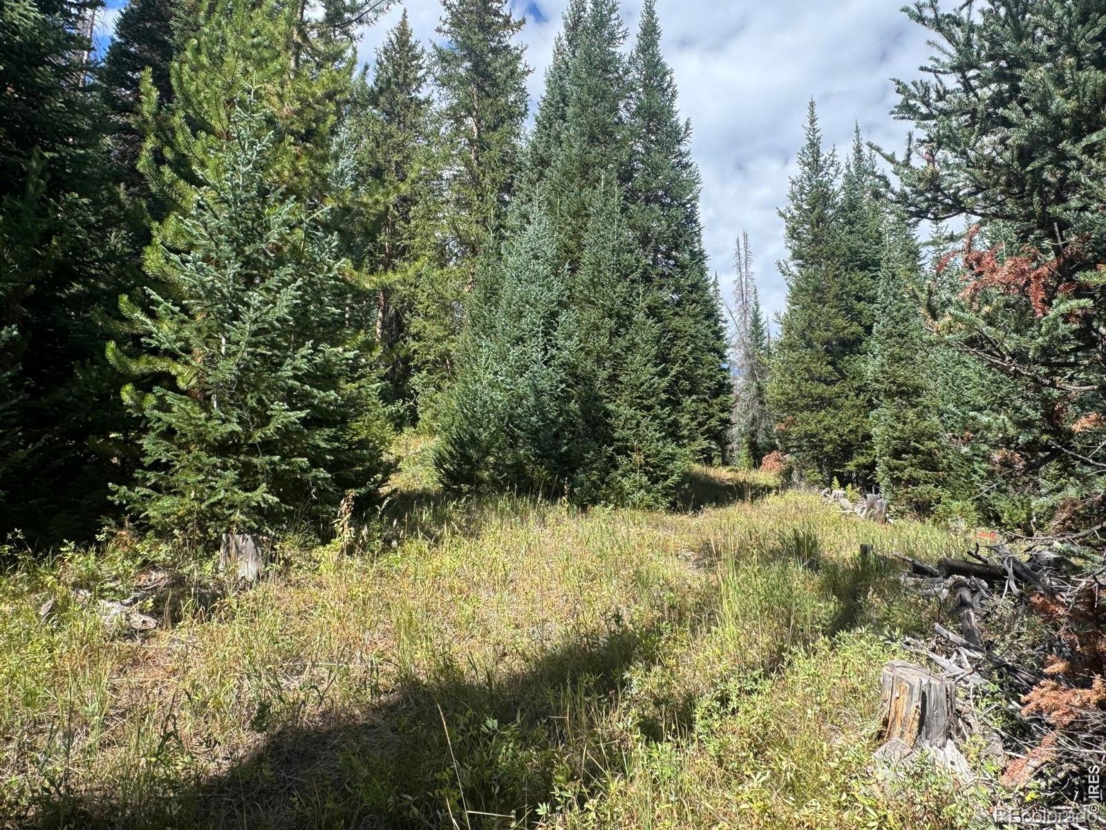 MLS Image #5 for 67  alpine lane,walden, Colorado