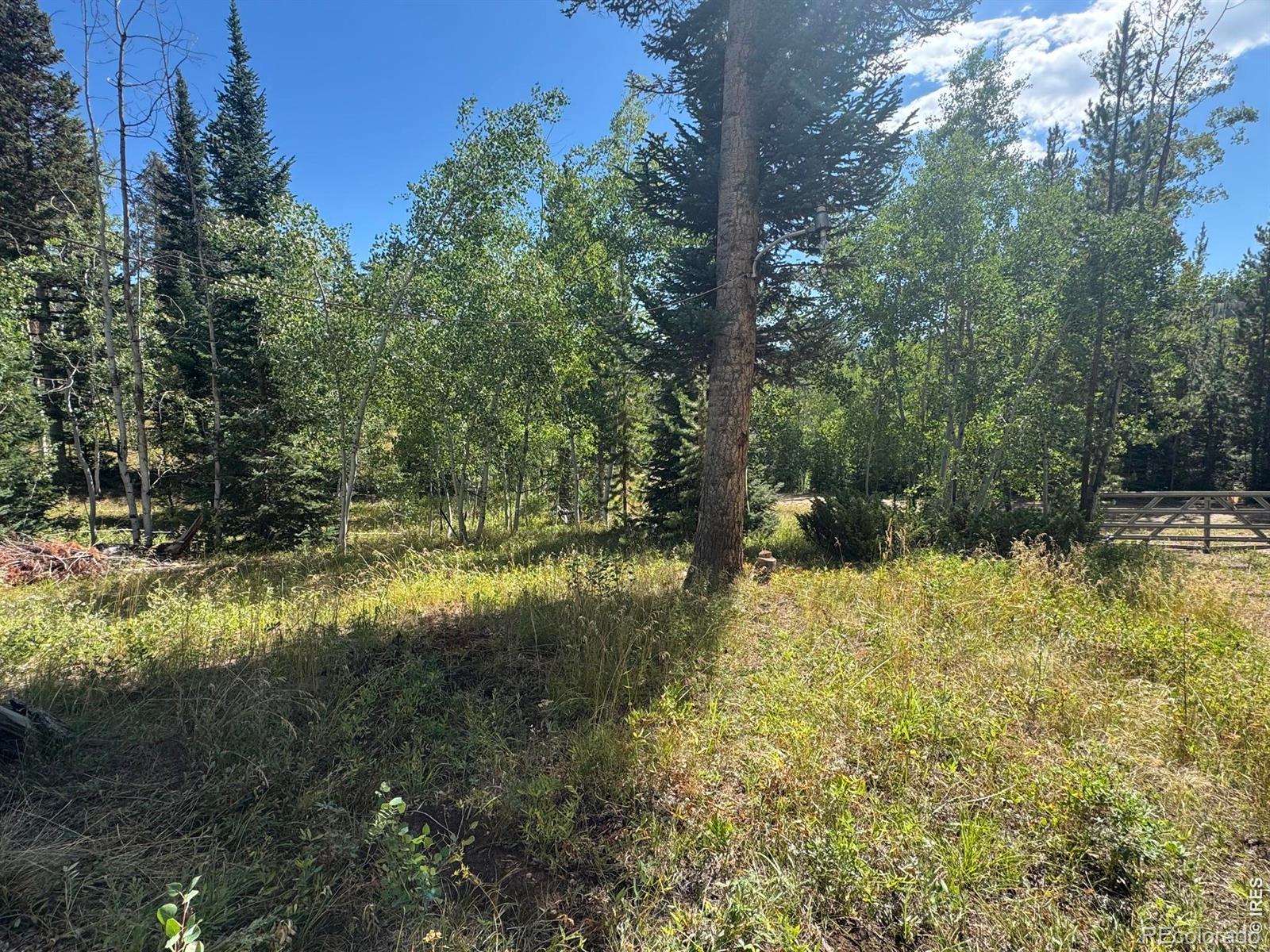 MLS Image #6 for 67  alpine lane,walden, Colorado