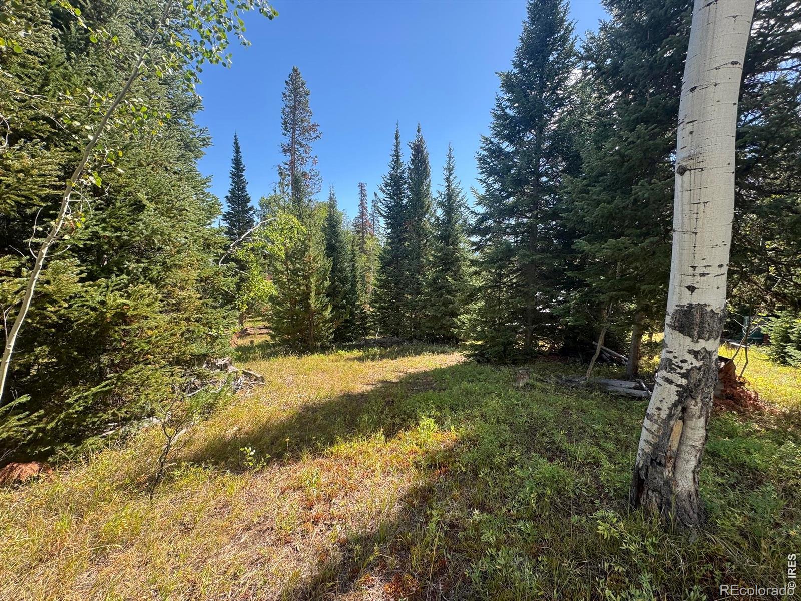 MLS Image #7 for 67  alpine lane,walden, Colorado