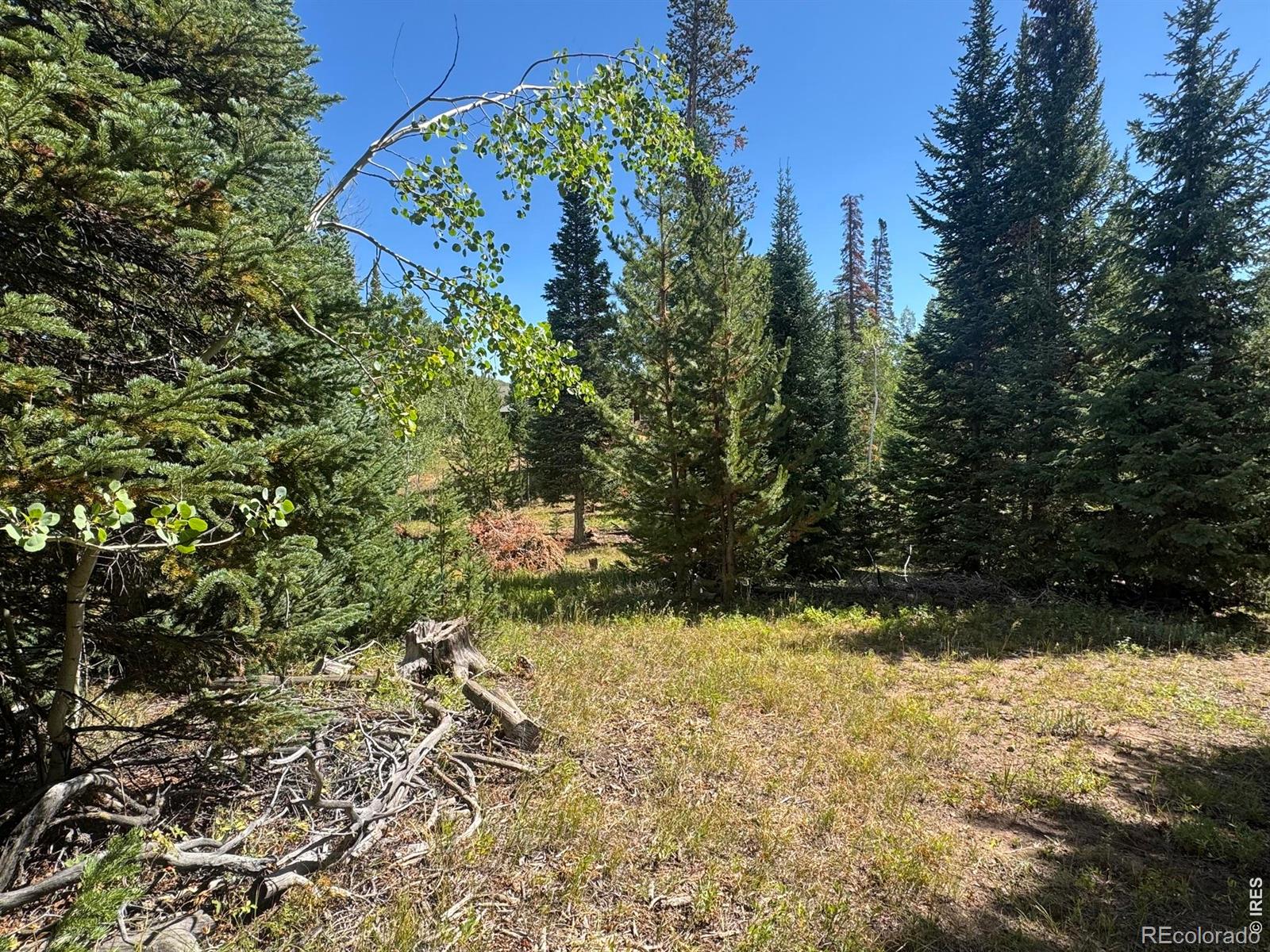 MLS Image #8 for 67  alpine lane,walden, Colorado