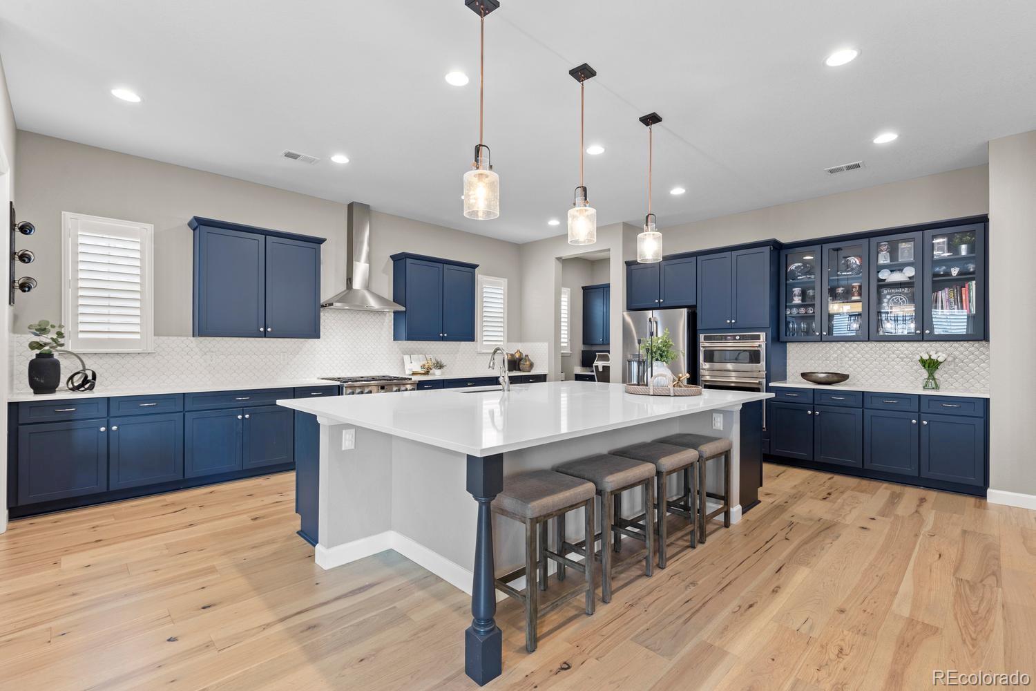 MLS Image #10 for 2887  morningbird lane,castle rock, Colorado
