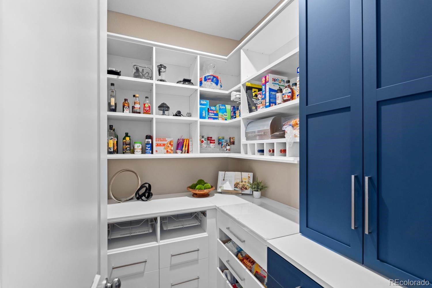 MLS Image #15 for 2887  morningbird lane,castle rock, Colorado