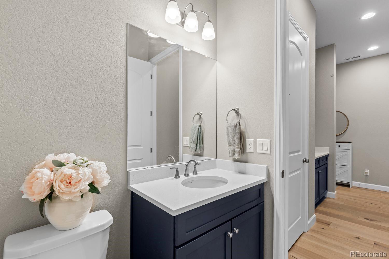 MLS Image #28 for 2887  morningbird lane,castle rock, Colorado