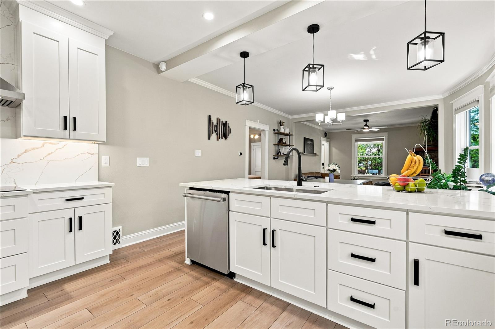 MLS Image #13 for 3421 n race street,denver, Colorado