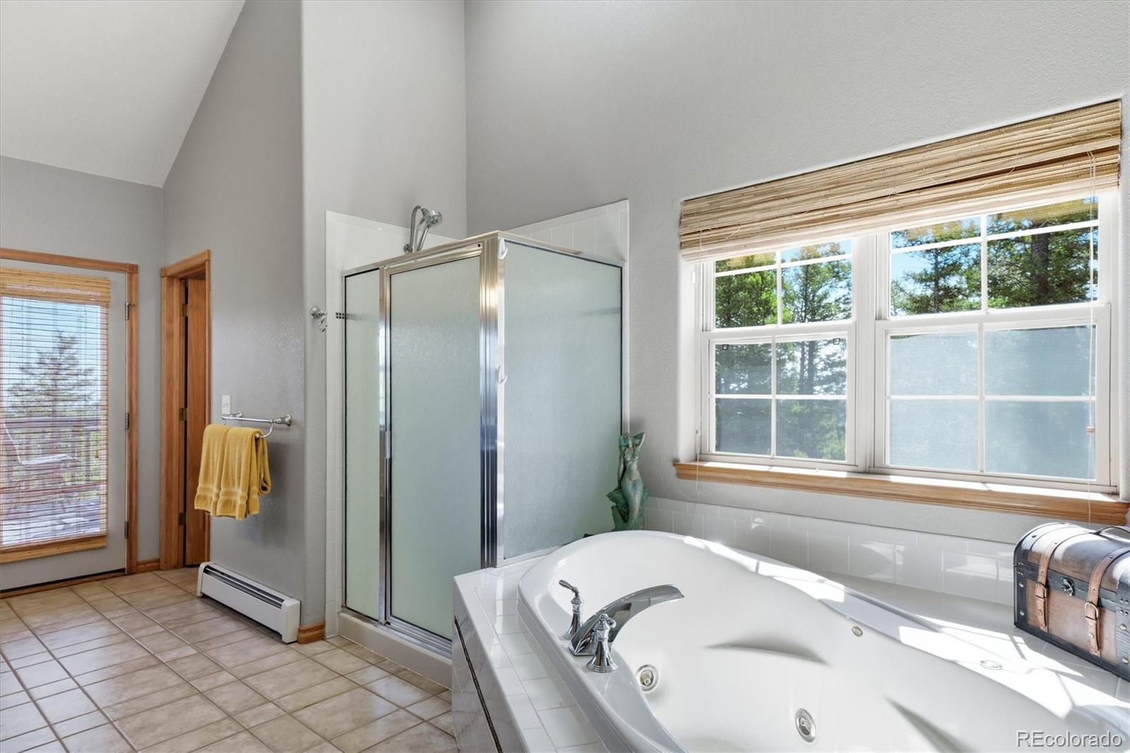 MLS Image #25 for 13272  riley peak road,conifer, Colorado