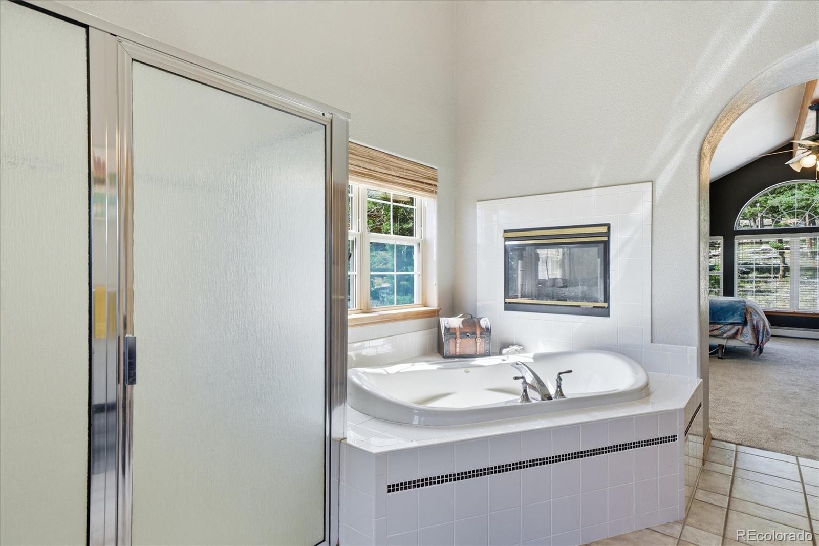 MLS Image #28 for 13272  riley peak road,conifer, Colorado