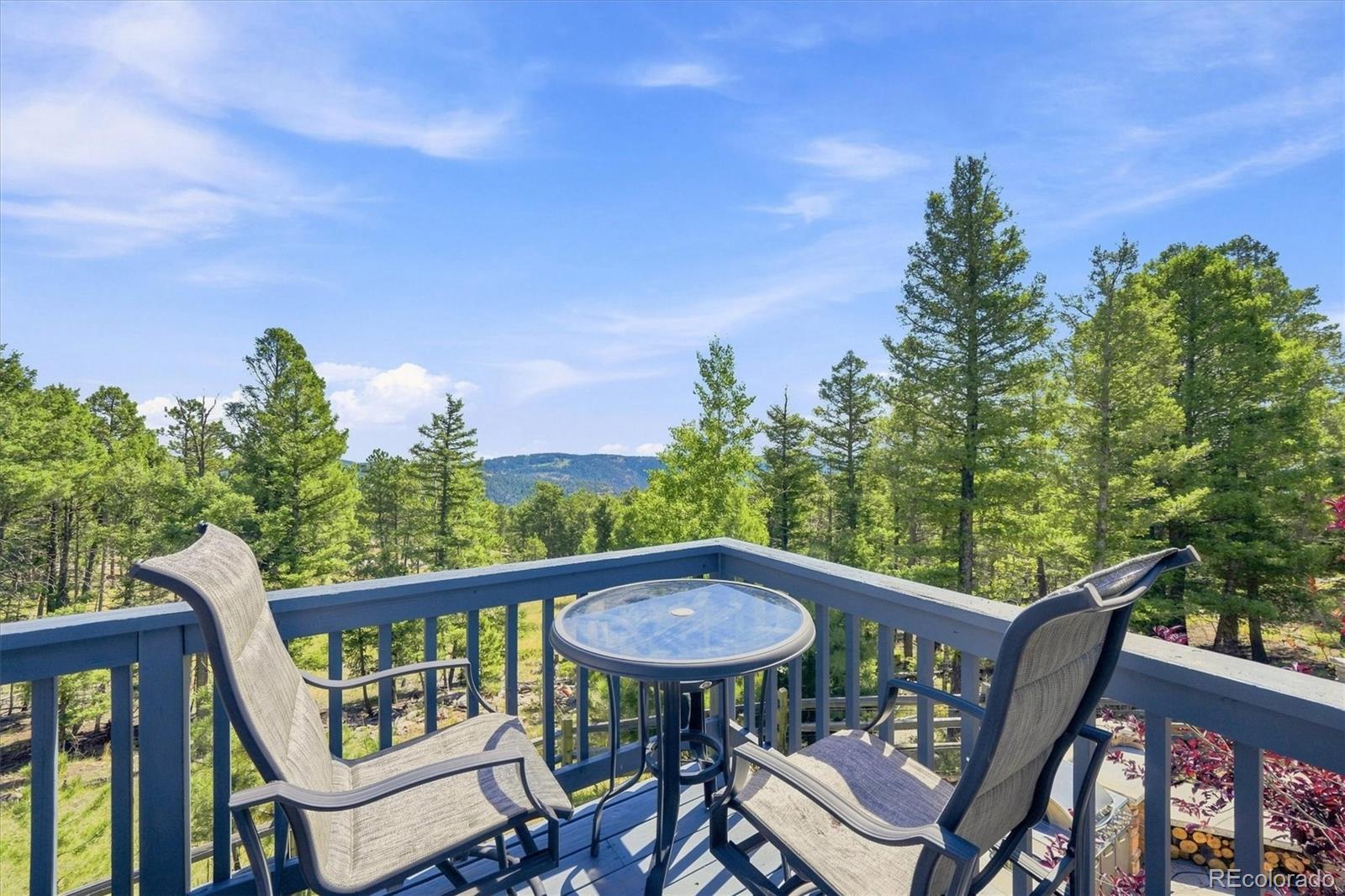 MLS Image #29 for 13272  riley peak road,conifer, Colorado