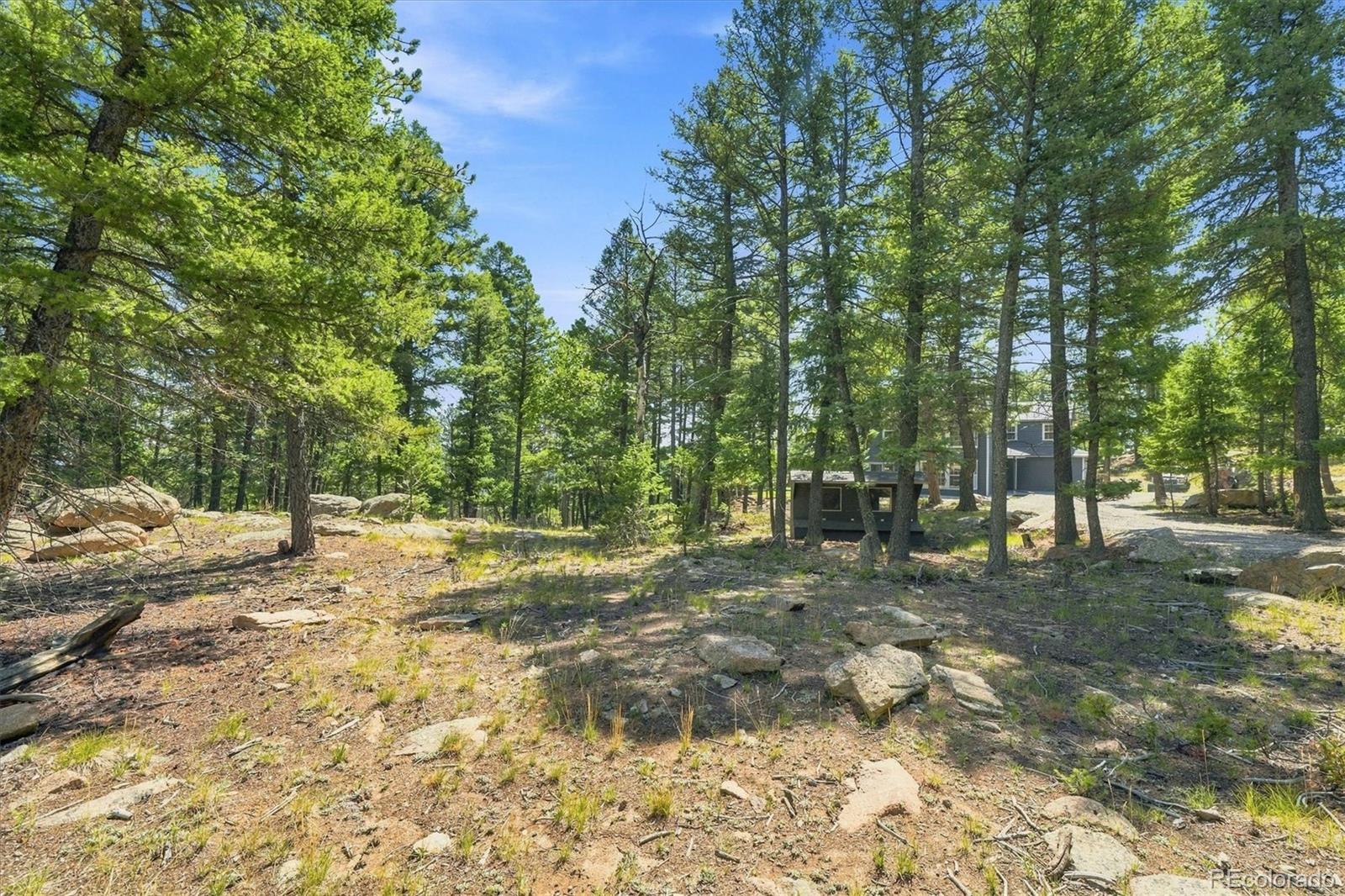 MLS Image #40 for 13272  riley peak road,conifer, Colorado