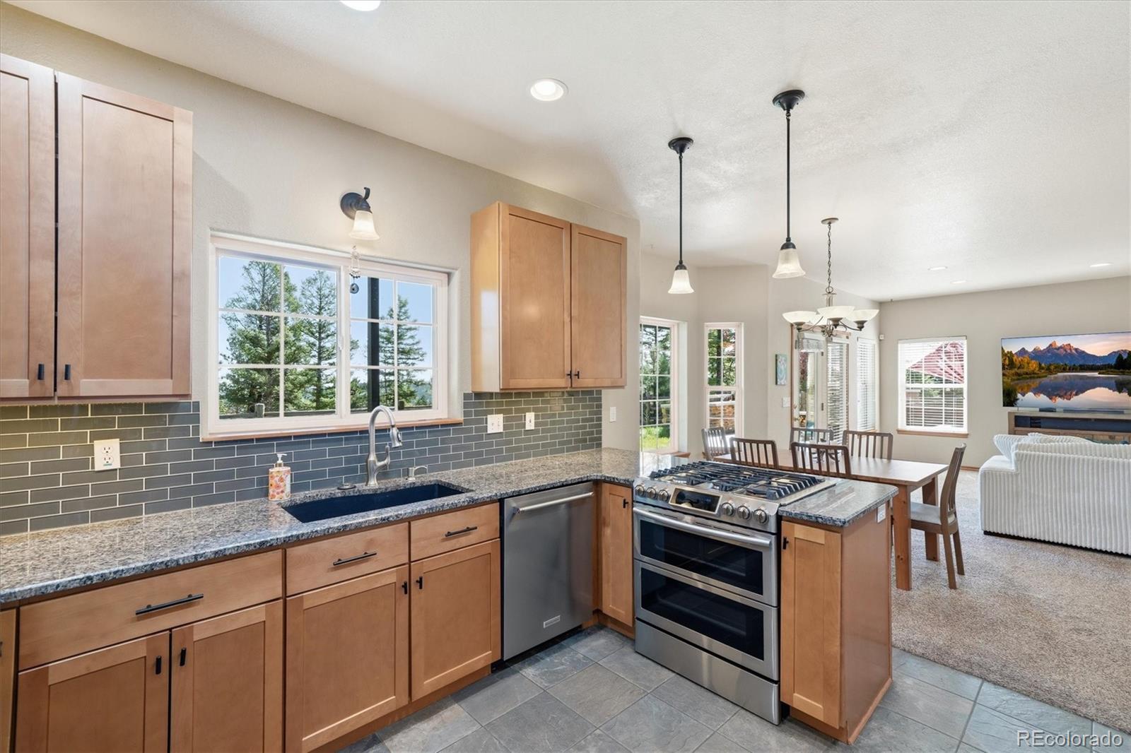 MLS Image #7 for 13272  riley peak road,conifer, Colorado