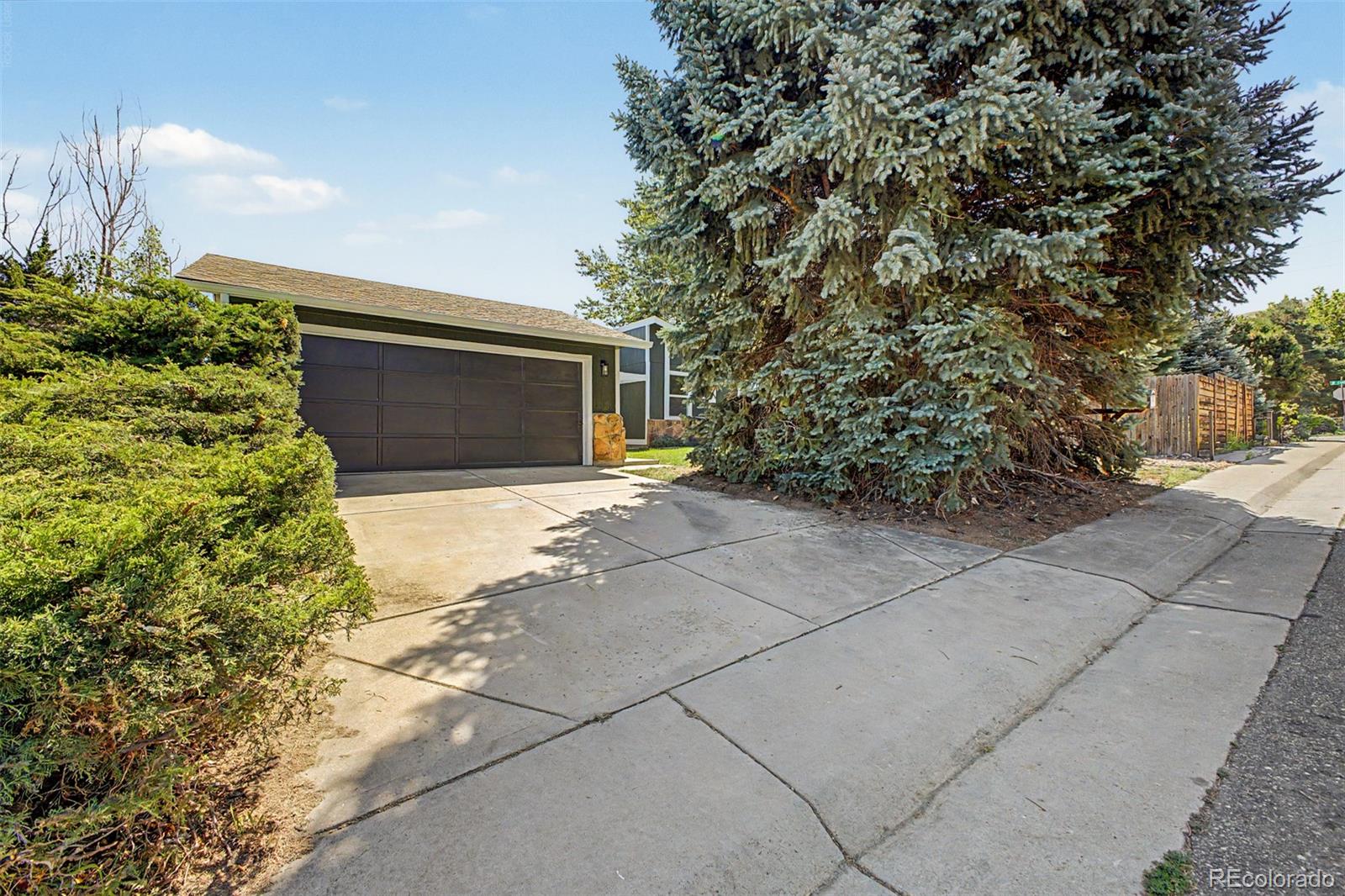 MLS Image #46 for 214  poppy street,golden, Colorado