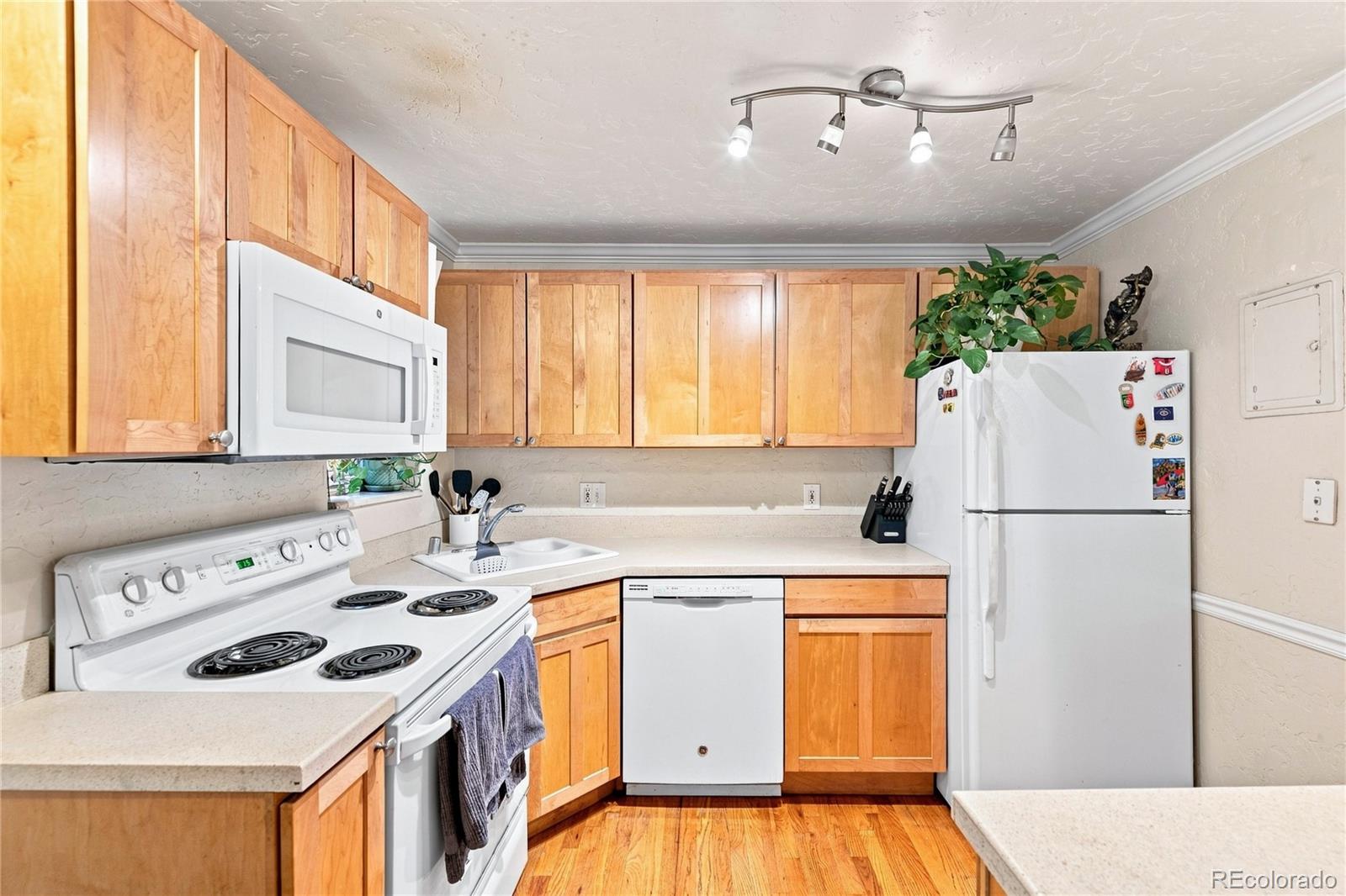 MLS Image #2 for 1243  vine street,denver, Colorado