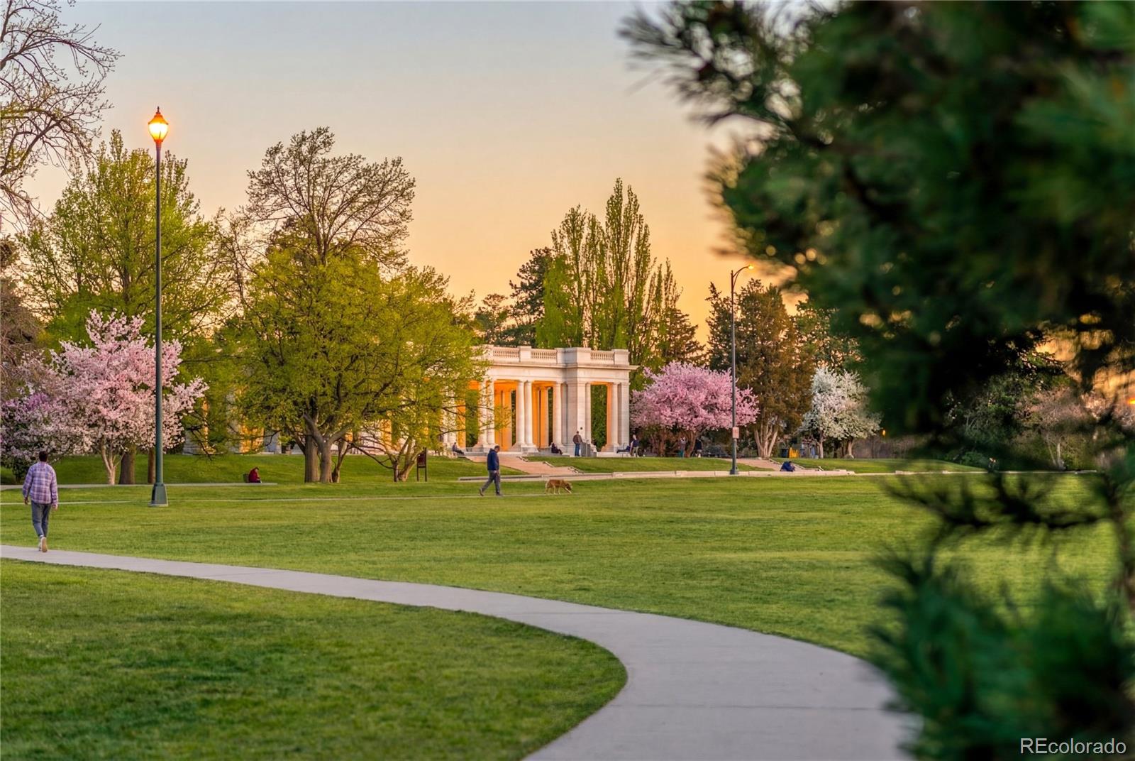 MLS Image #22 for 1243  vine street,denver, Colorado