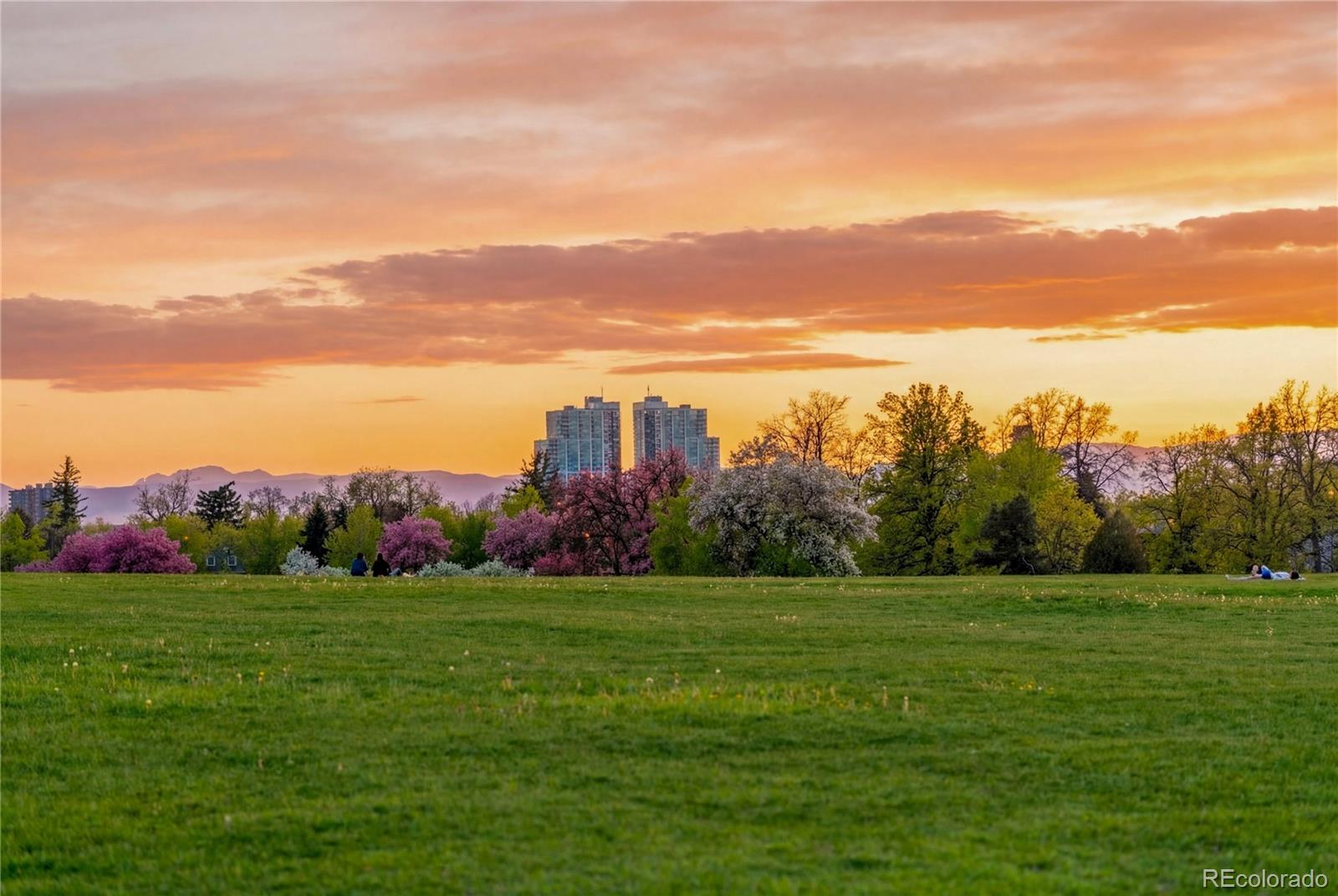 MLS Image #24 for 1243  vine street,denver, Colorado