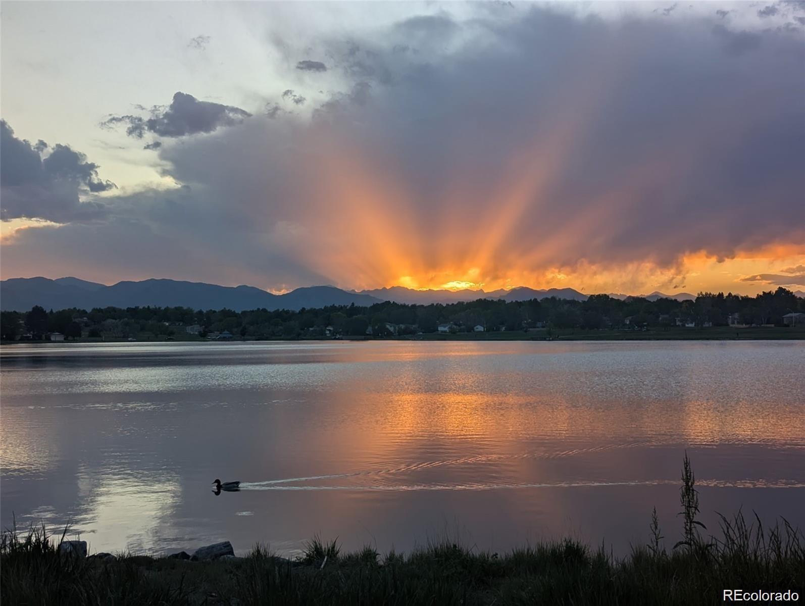 MLS Image #7 for 6085 w 82nd drive,arvada, Colorado