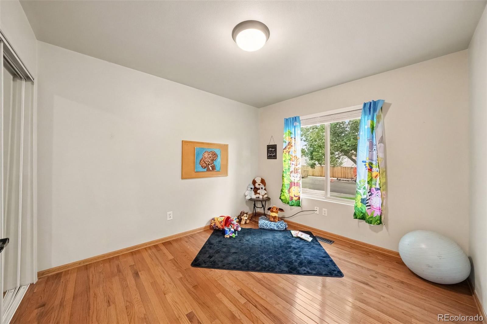 MLS Image #11 for 4095  solarglen drive,colorado springs, Colorado