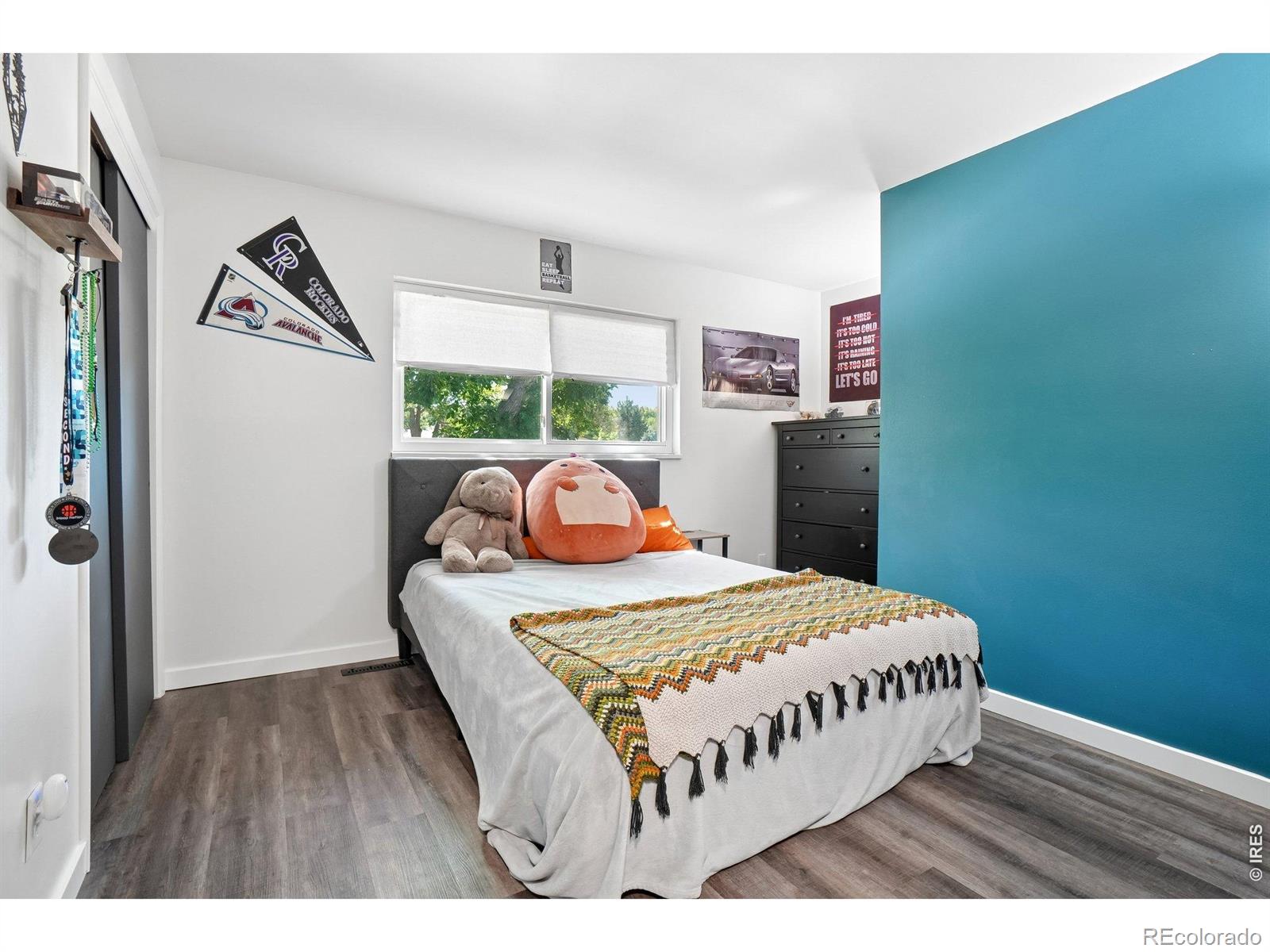 MLS Image #16 for 1535 s terry street,longmont, Colorado