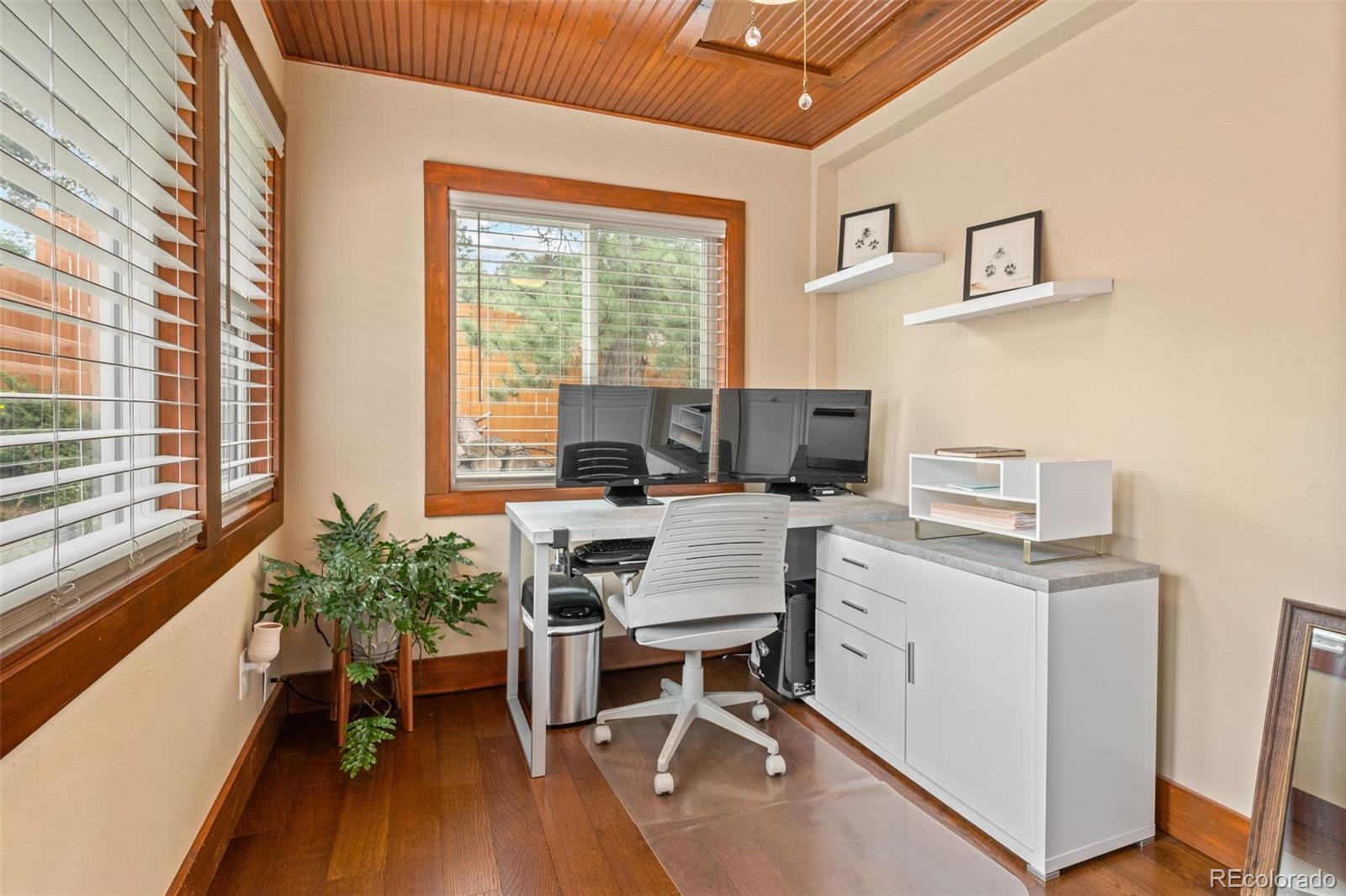 MLS Image #23 for 4805 s blue spruce road,evergreen, Colorado