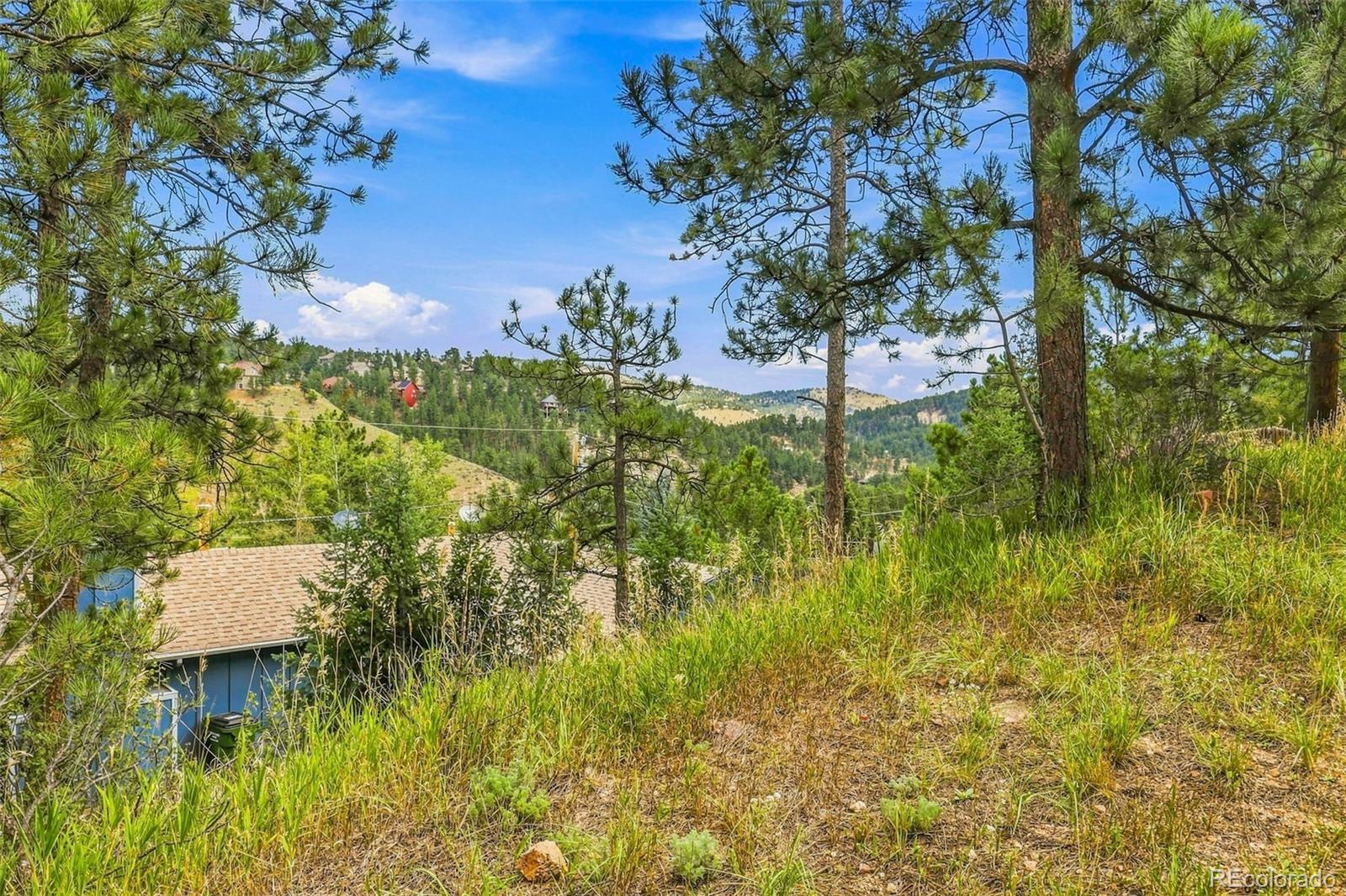 MLS Image #29 for 26222 s end road,kittredge, Colorado