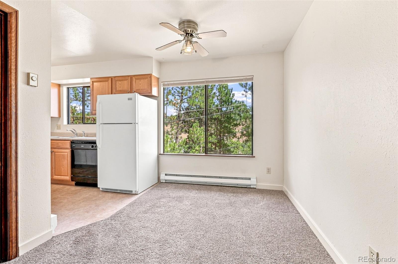 MLS Image #5 for 26222 s end road,kittredge, Colorado