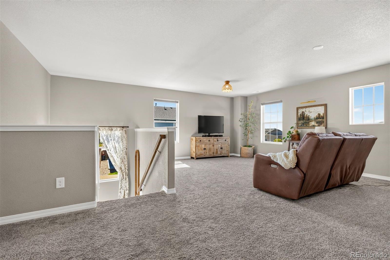 MLS Image #14 for 4482  prairie agate drive,colorado springs, Colorado