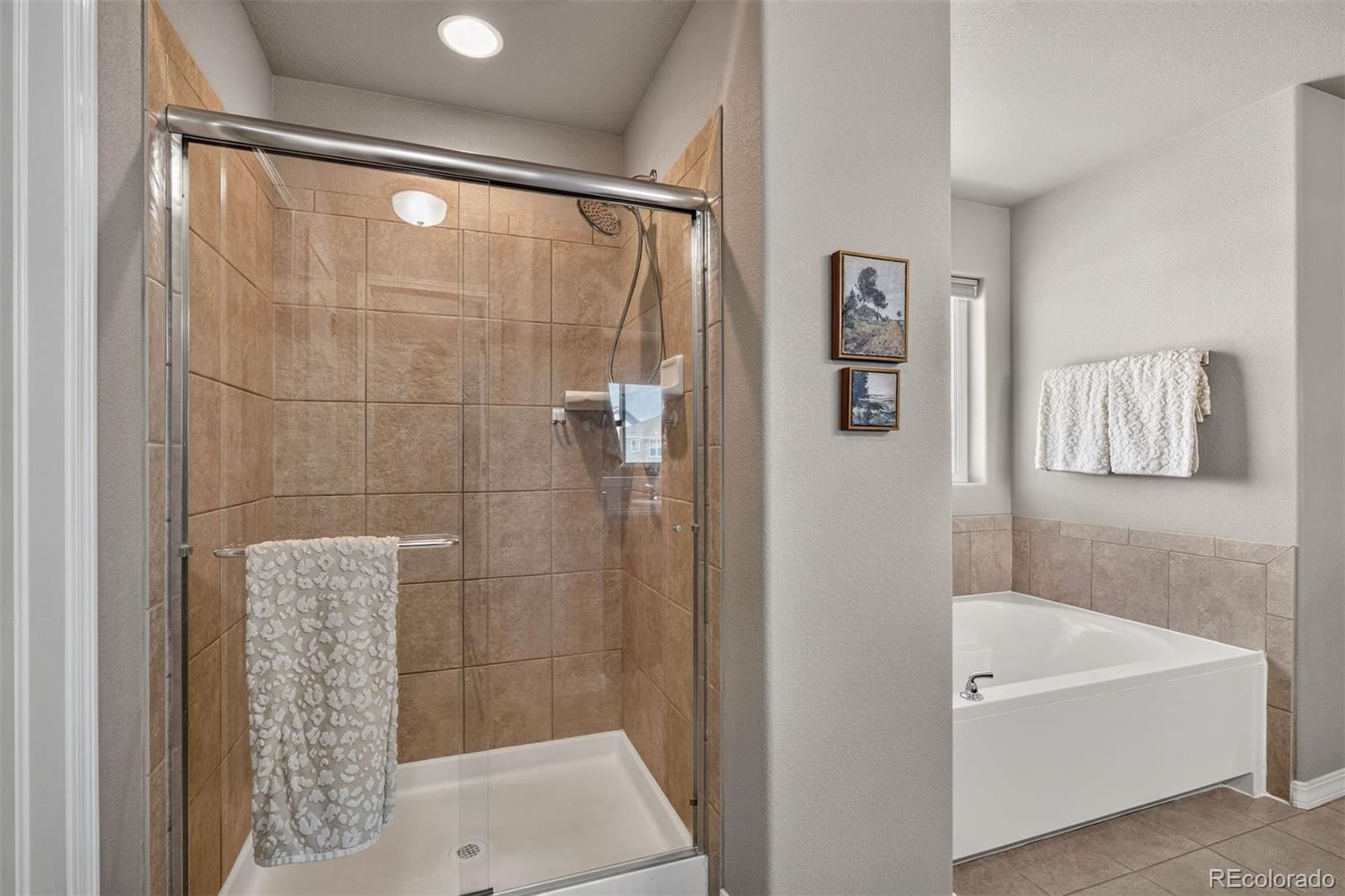 MLS Image #23 for 4482  prairie agate drive,colorado springs, Colorado