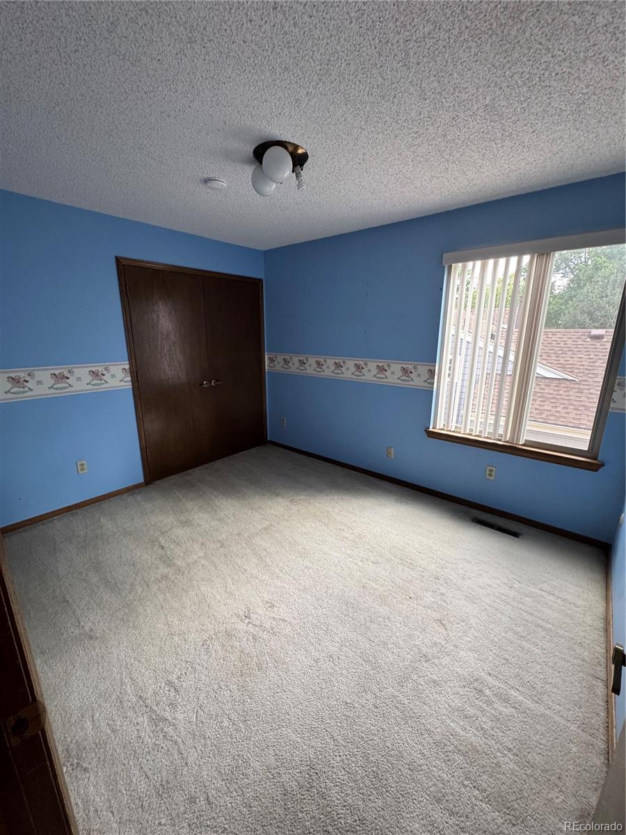 MLS Image #14 for 7244 s houstoun waring circle,littleton, Colorado
