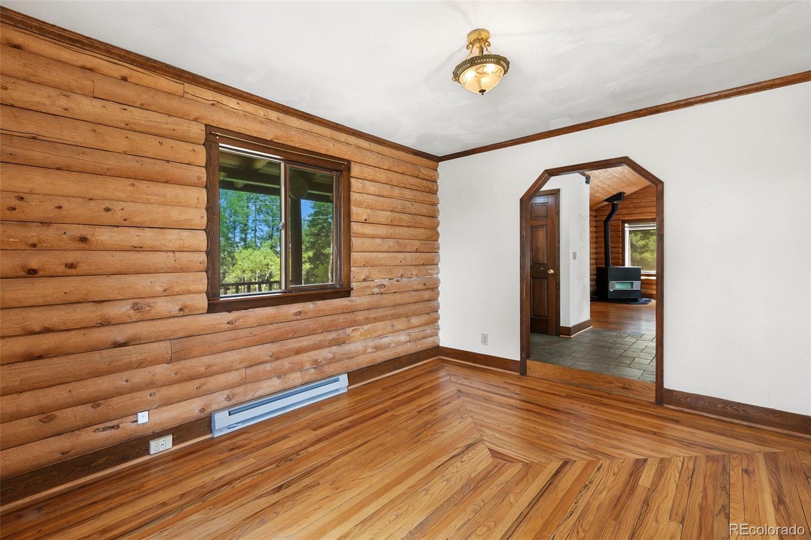 MLS Image #10 for 124  cradle lake drive,divide, Colorado