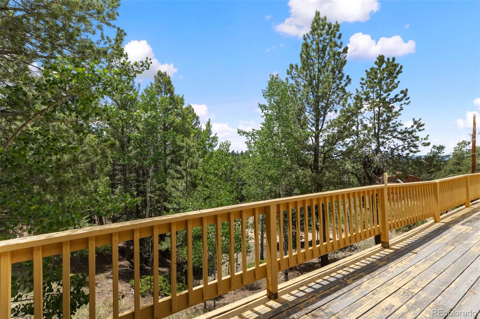 MLS Image #18 for 124  cradle lake drive,divide, Colorado